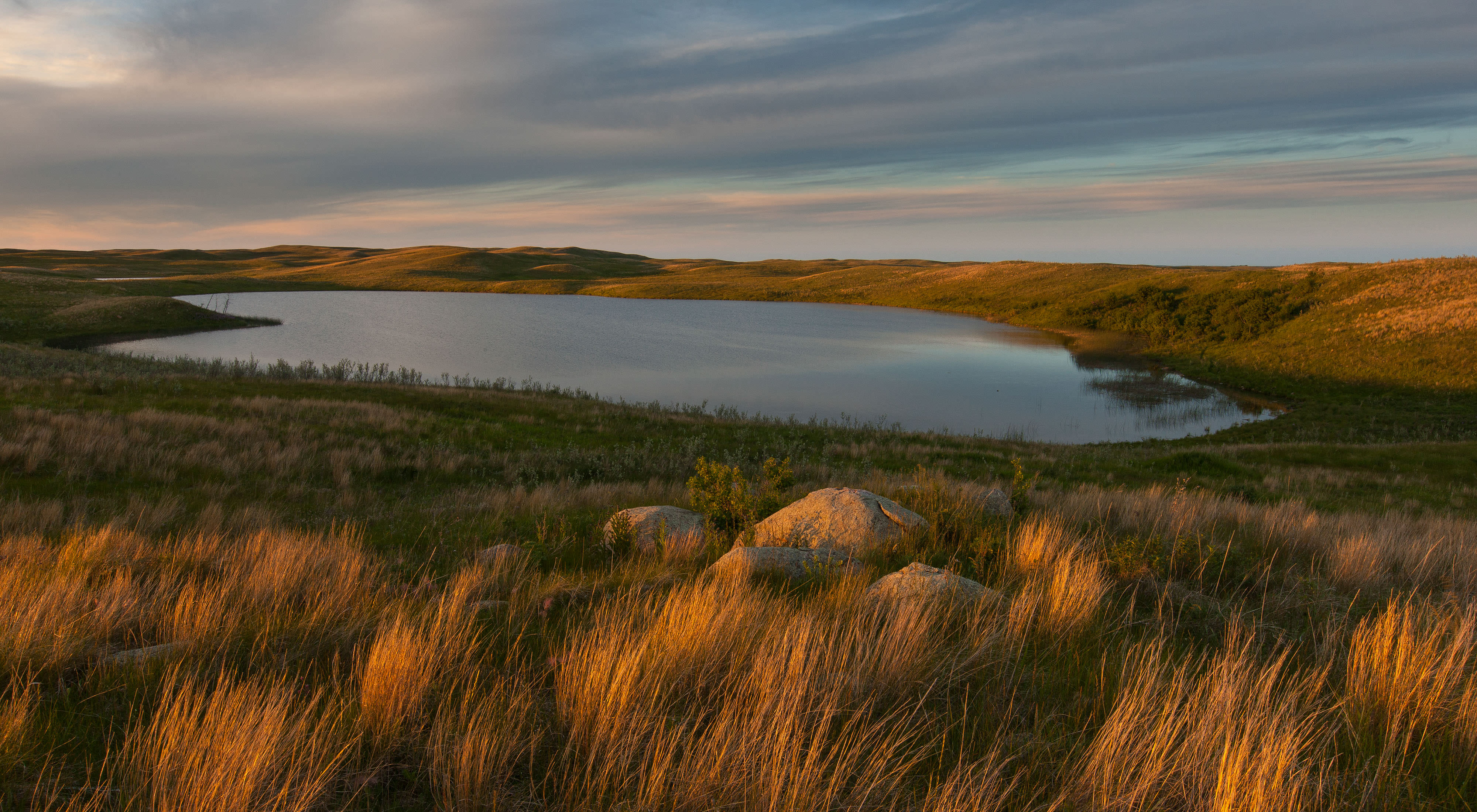 Small body of water in the midst of prairie grass.