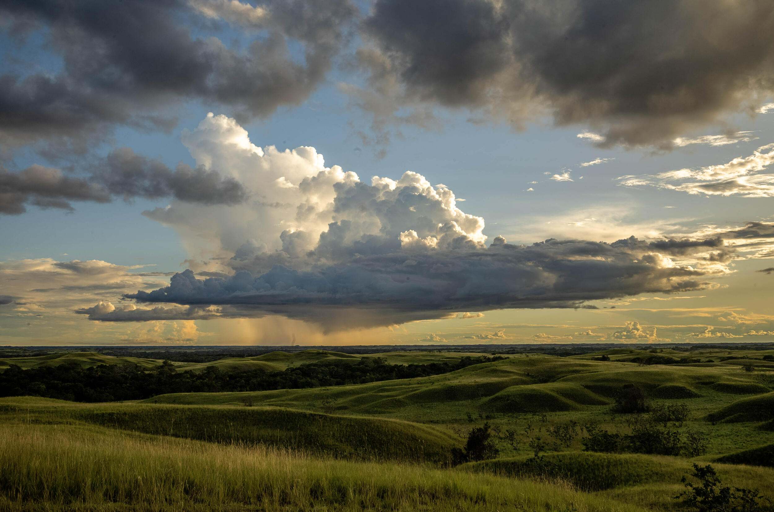 A green, undulating savanna underneath a cloudy sky.