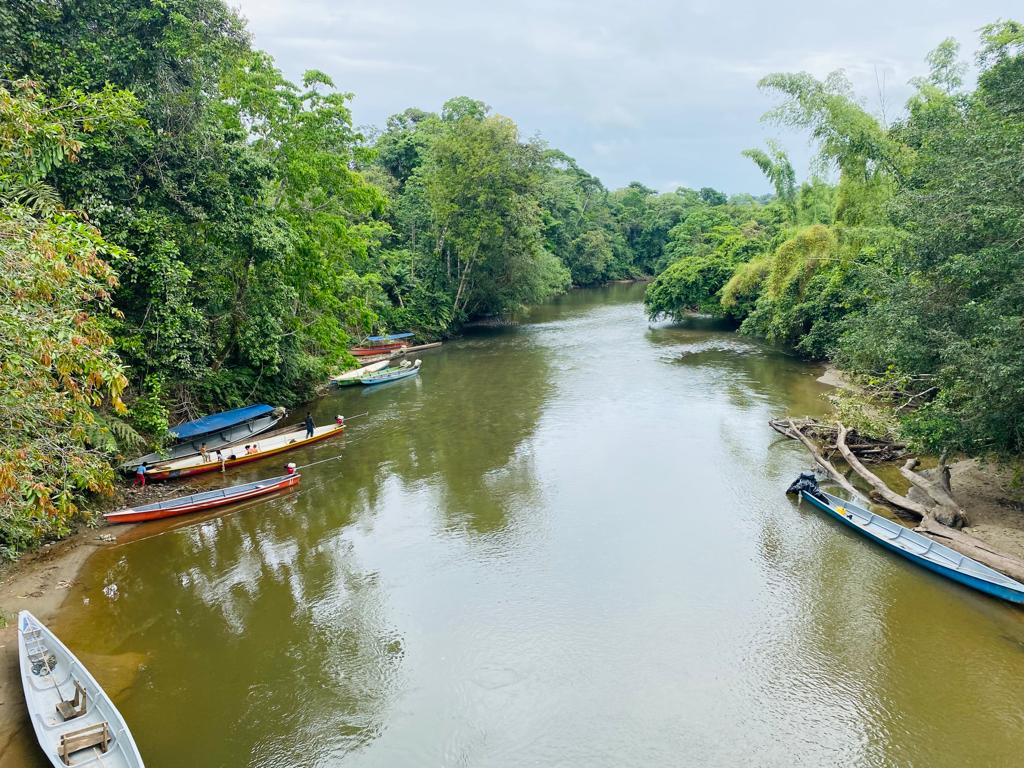 Paisaje de un rio en la orillas canoas en Nushino rio.