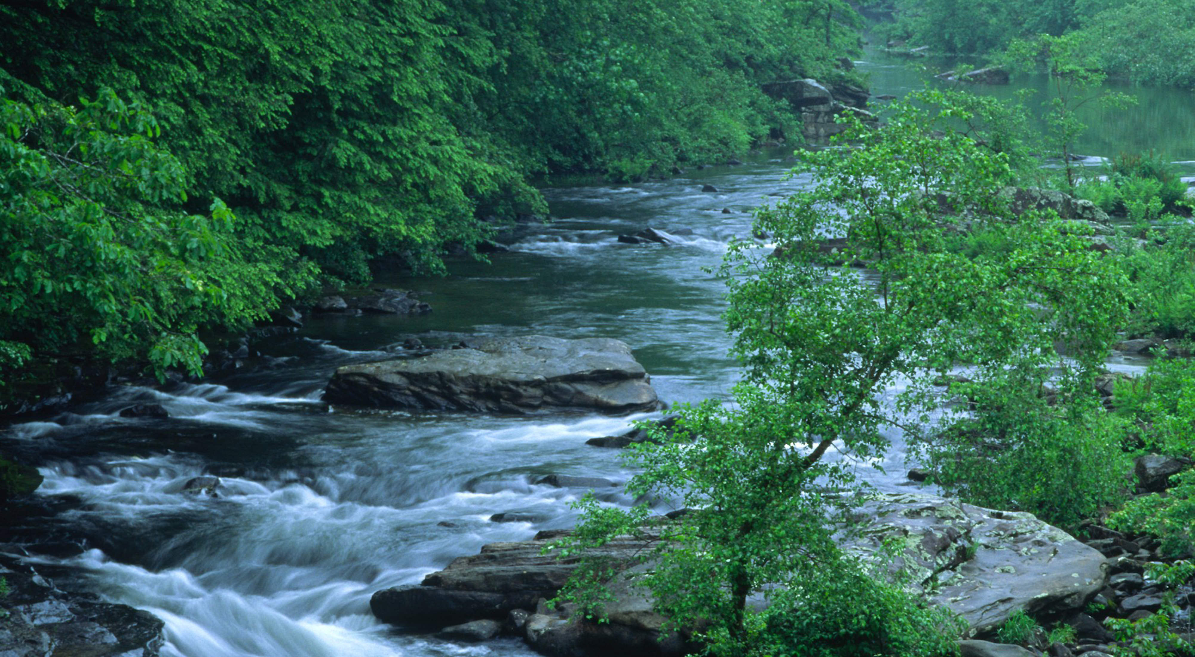 Green leafy trees shade a flowing stream.