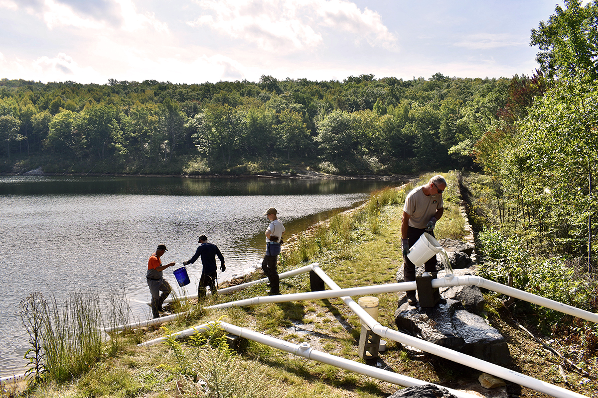 Several people form an assembly line from a body of water to a tube carrying buckets of water.