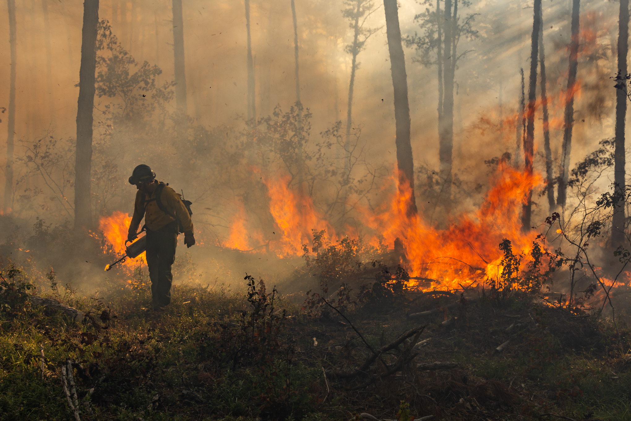 A wildland firefighter in the woods with flames in the background.
