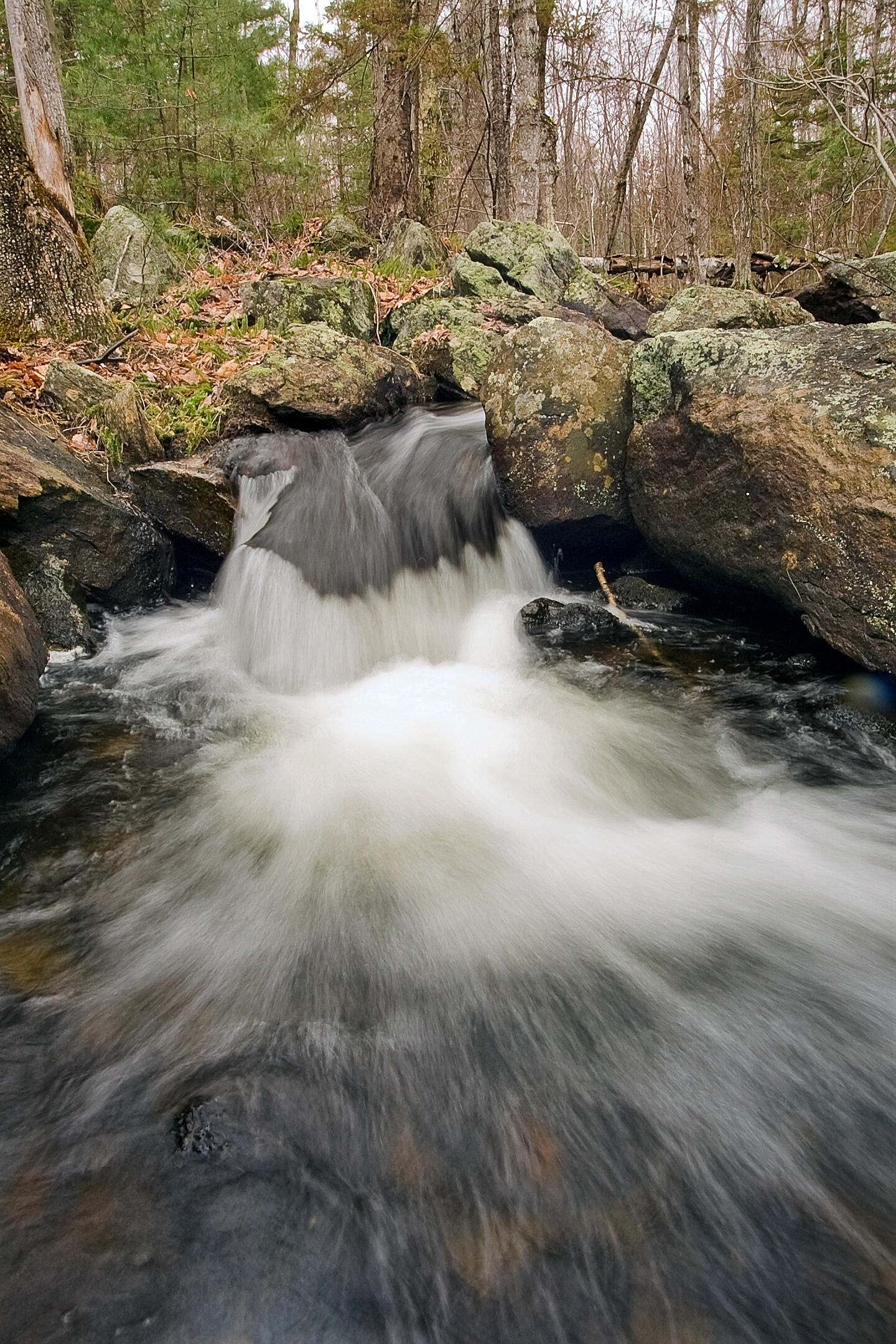 A rushing stream in the woods.