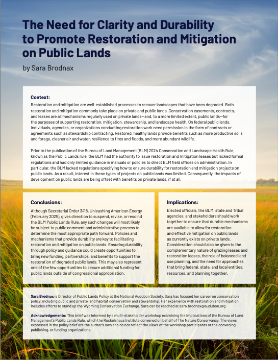 Cover of public lands rule opinion document.