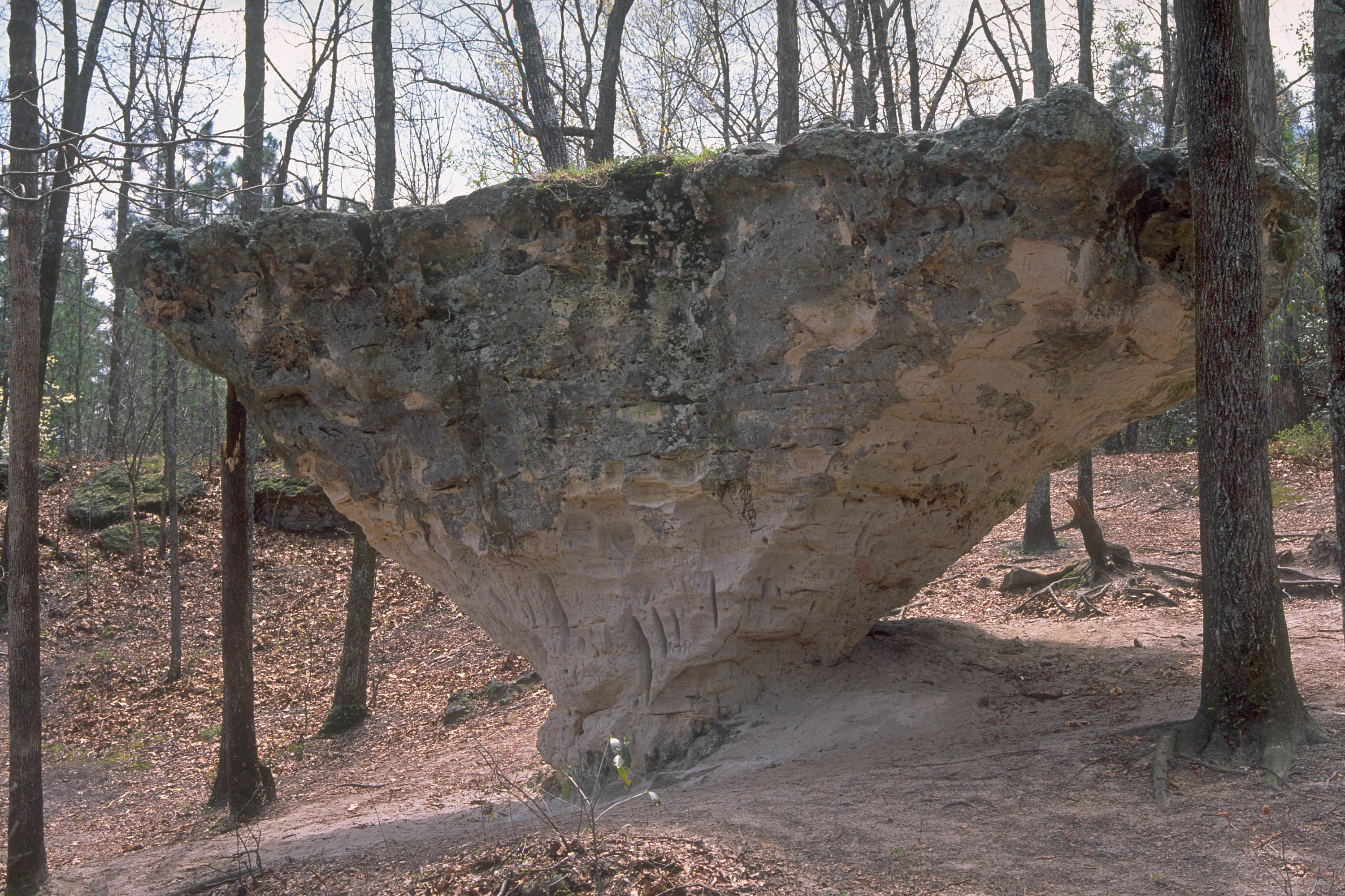 Large triangular boulder found in PeachTree Rock preserve in South Carolina. 