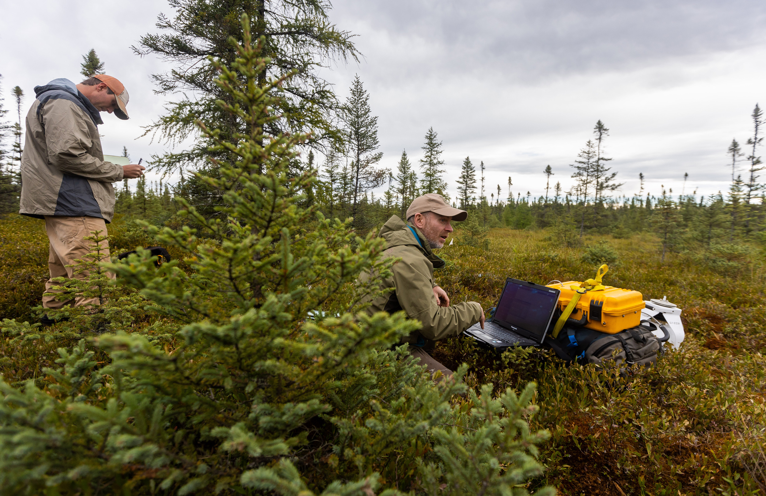 two scientists monitor equipment in a peat swamp.