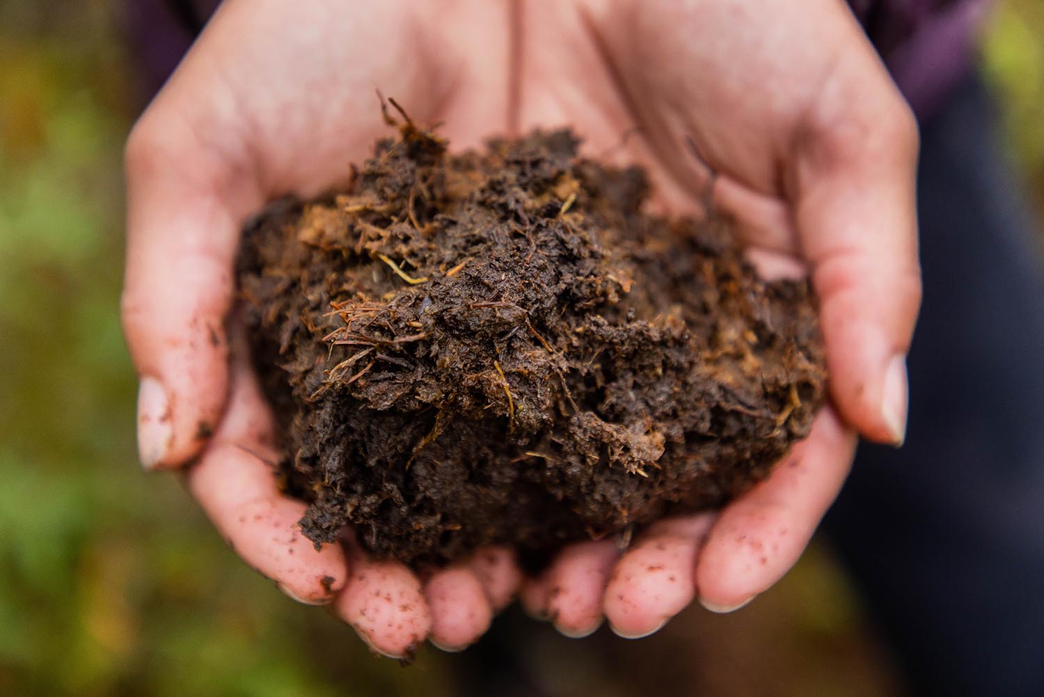 Close up of dirt in hands.