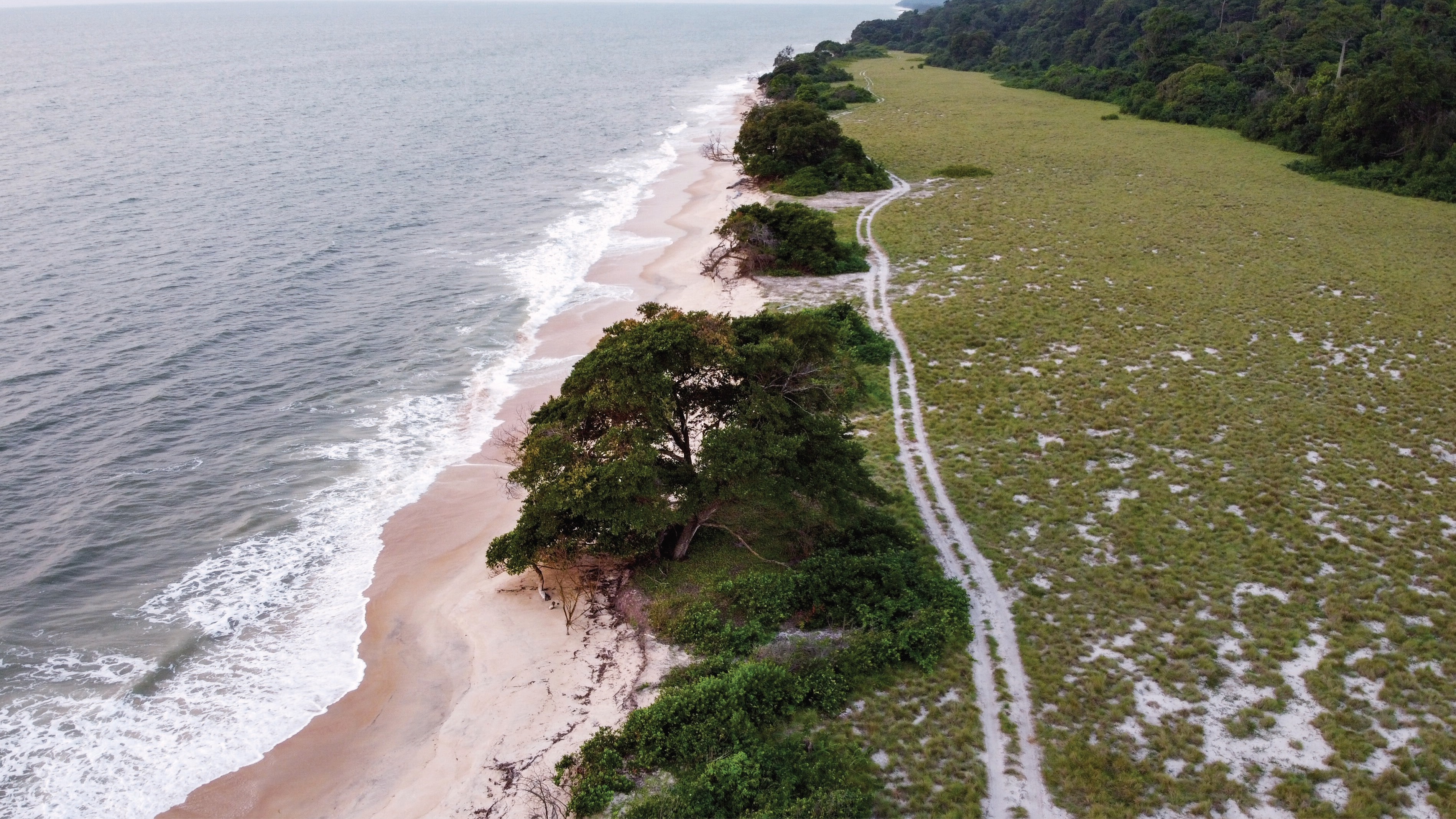A beach in Gabon.