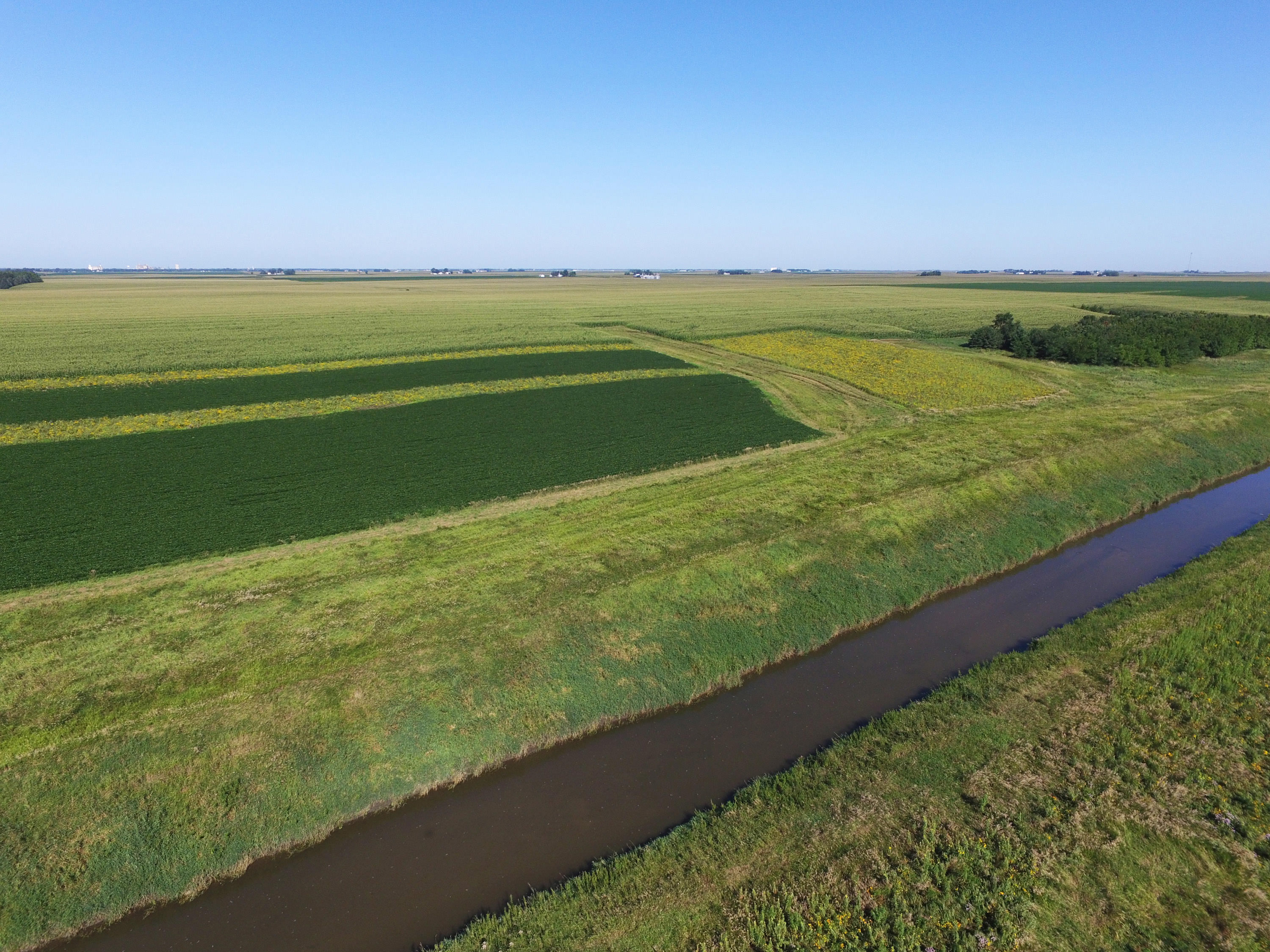 Alternating grass bands in a farm field.