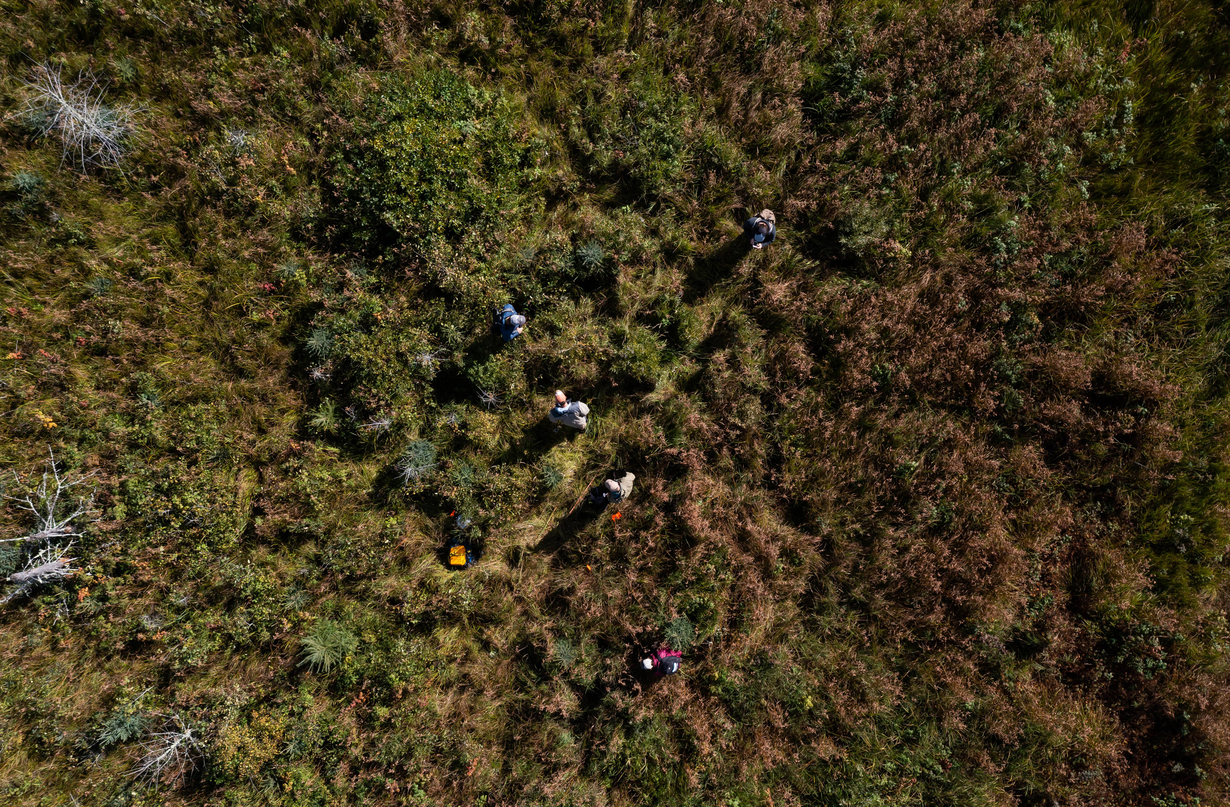 Aerial view of people standing in a peatland.
