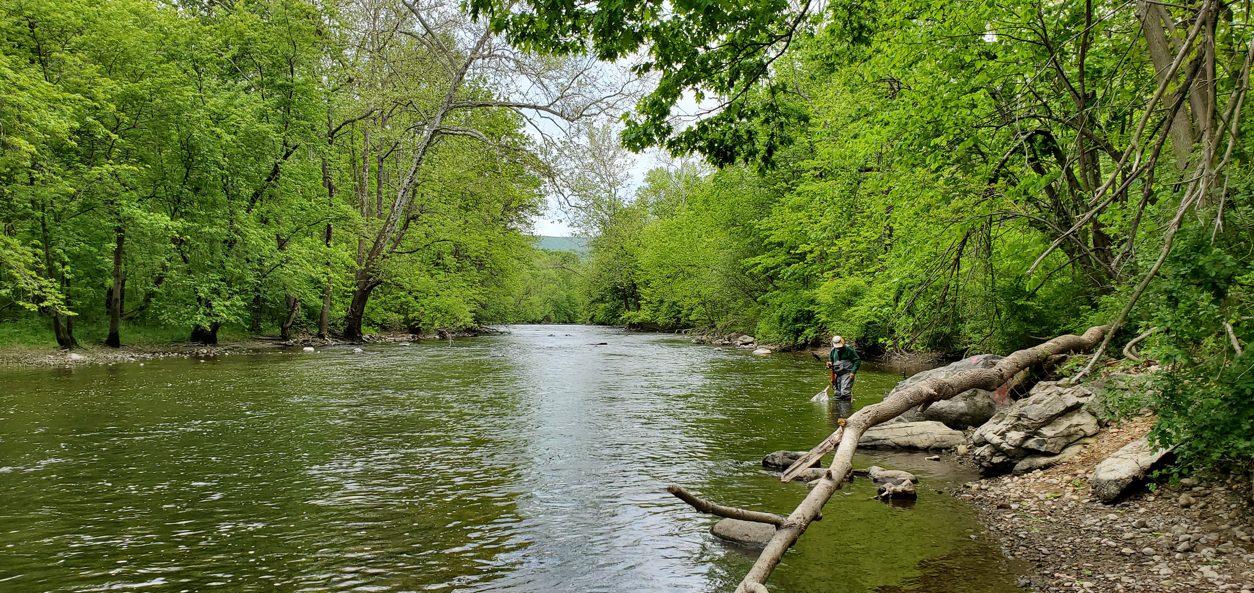 A person fishing along a river bed.