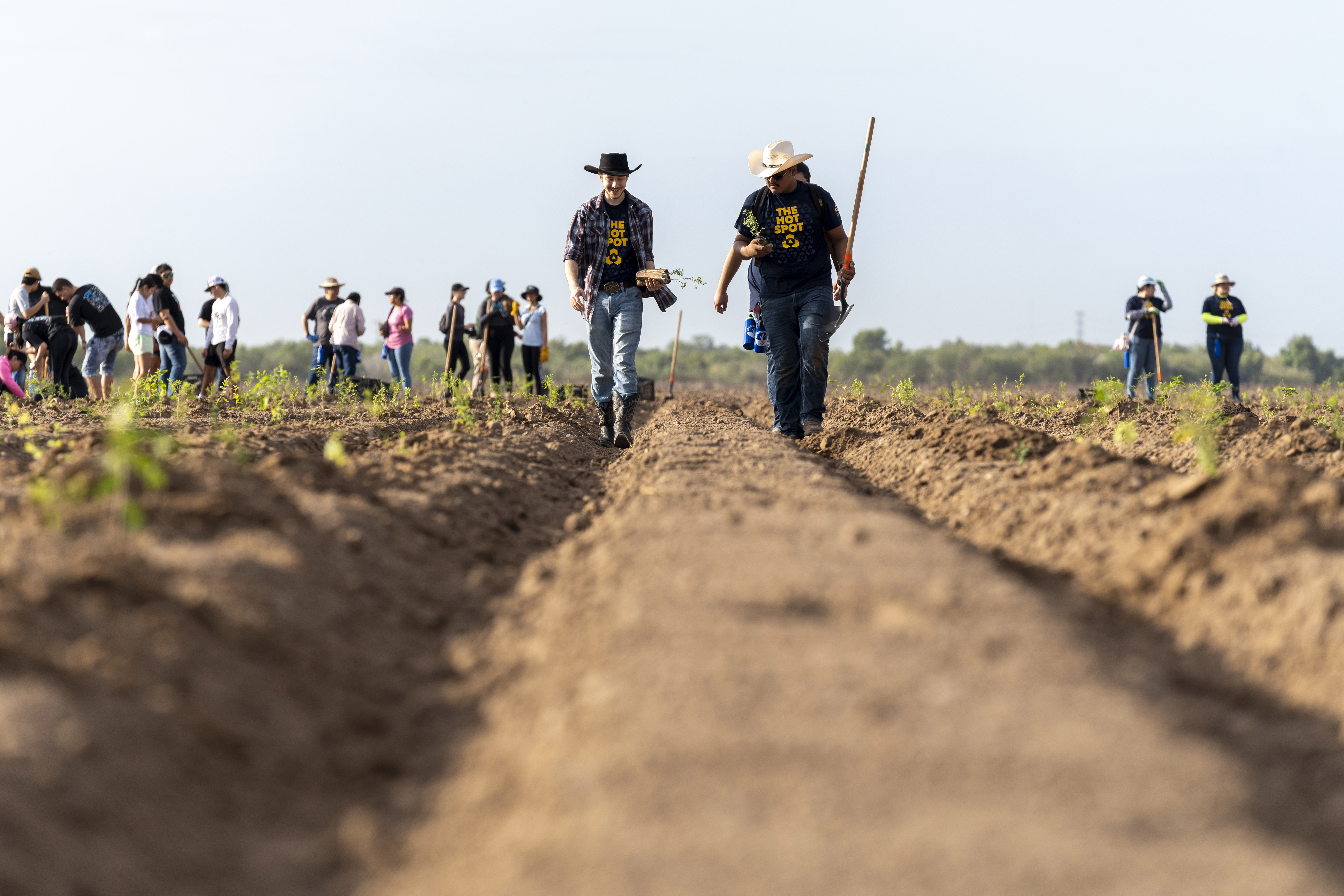 A group of people use shovels to plant seedlings.