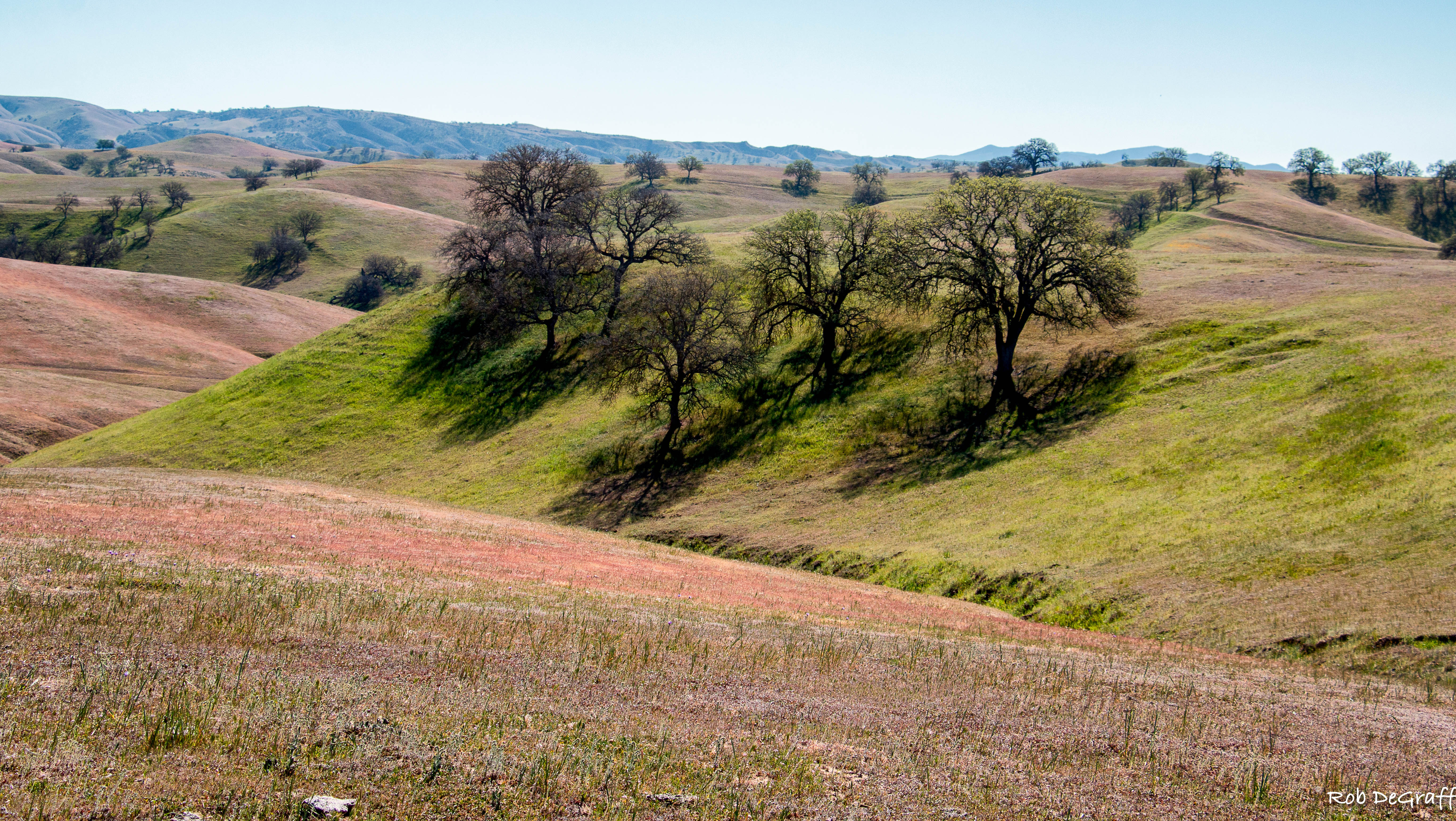over 27,000 acres of blue oak woodlands, grasslands and chaparral.