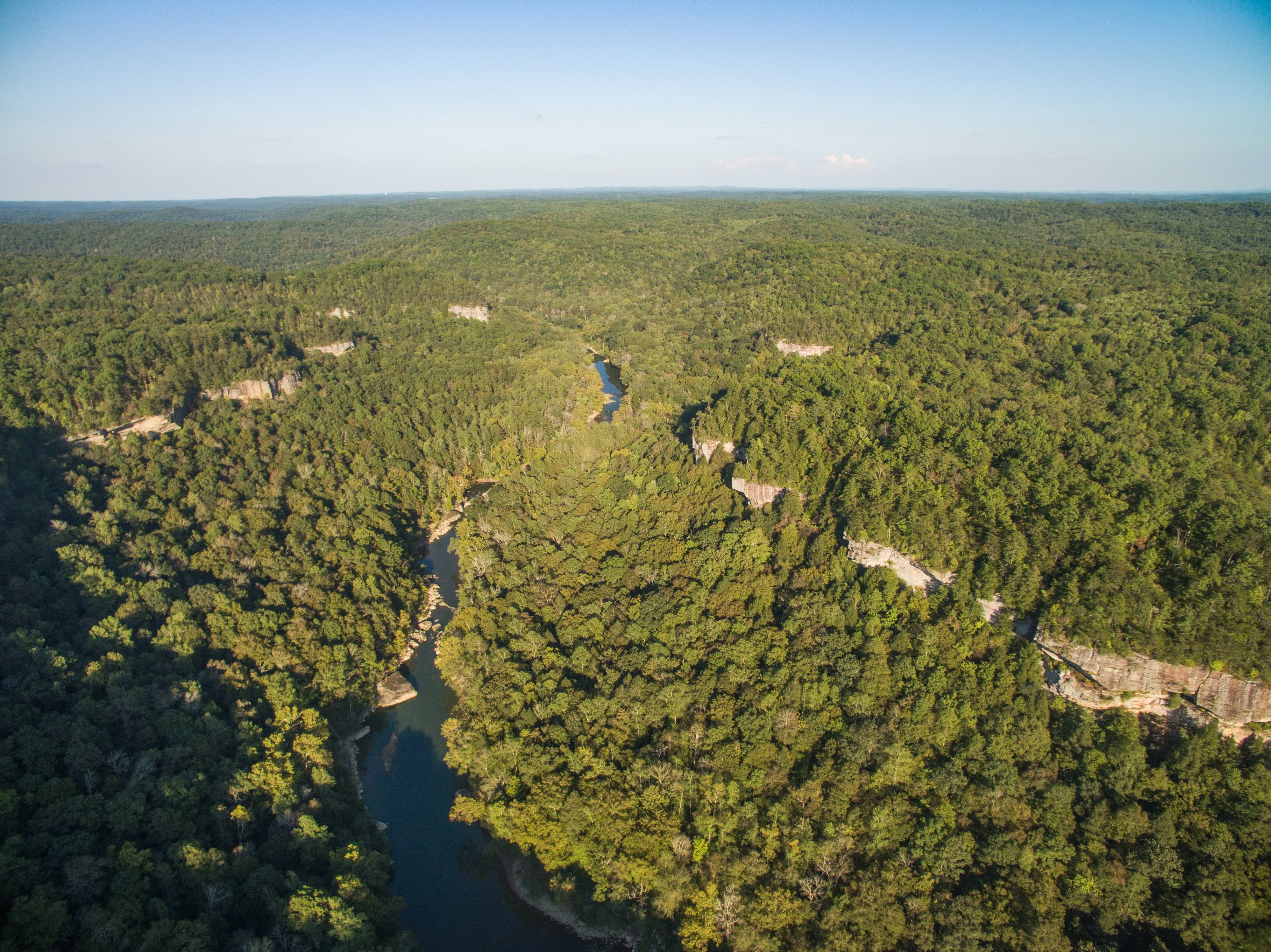 A green river flows through a thick forest.