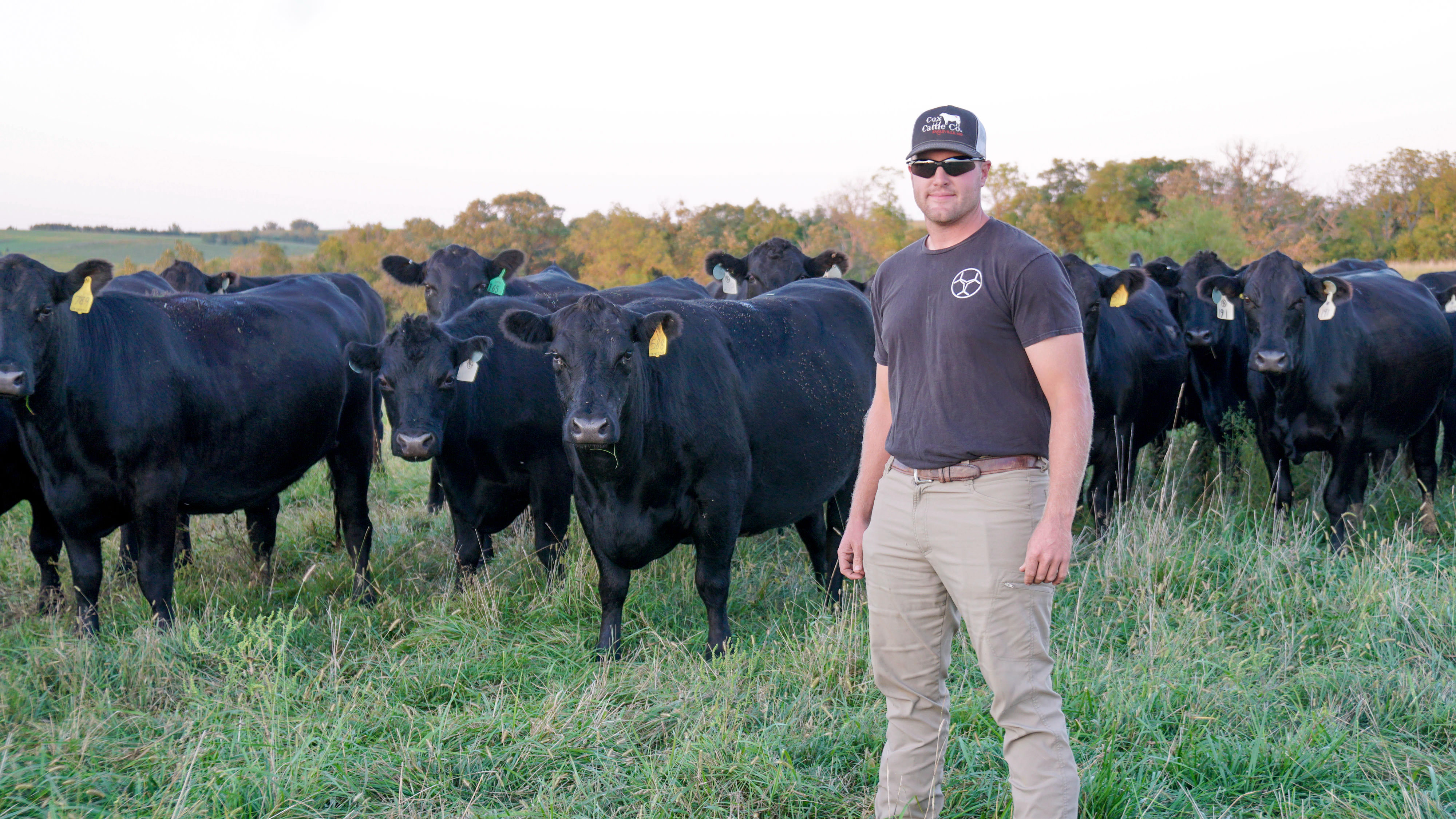 Man stands in front of a herd of cattle.
