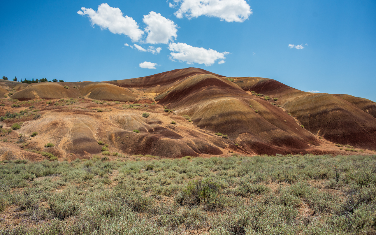 Foothills with sagebrush growing and a blue sky with clouds.
