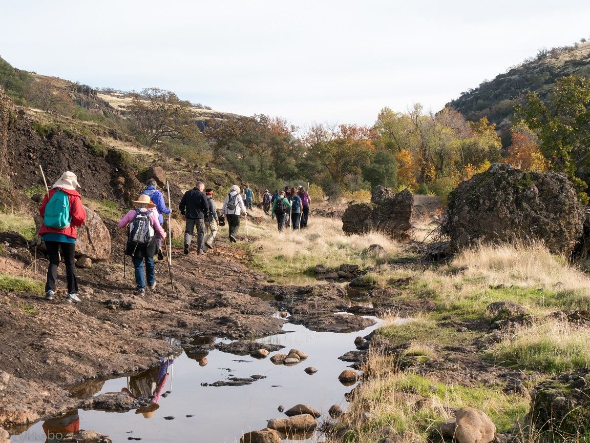 Row of hikers walk along a dirt trail in Dye Creek Canyon.