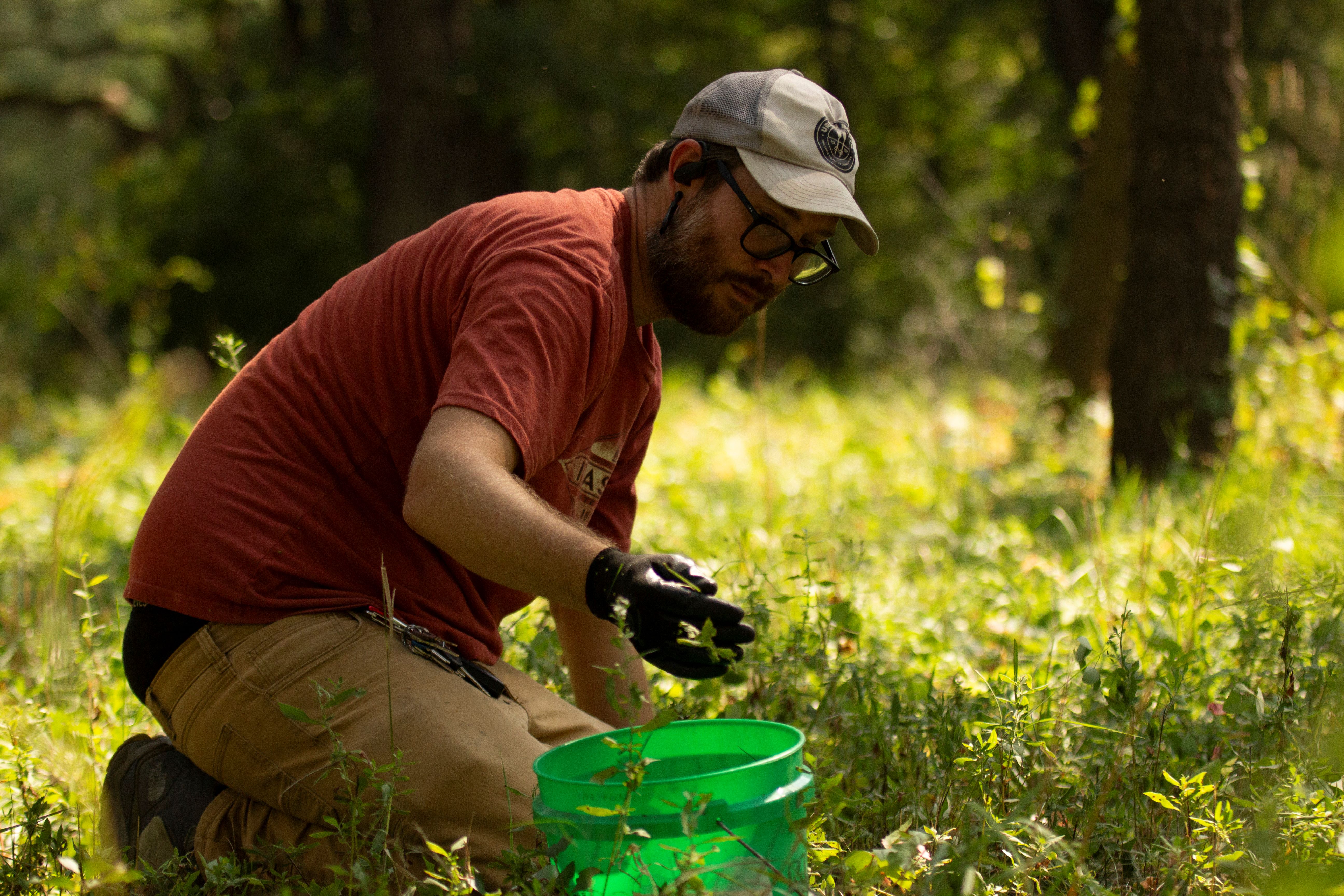 A seed collector drops seeds into a bucket.