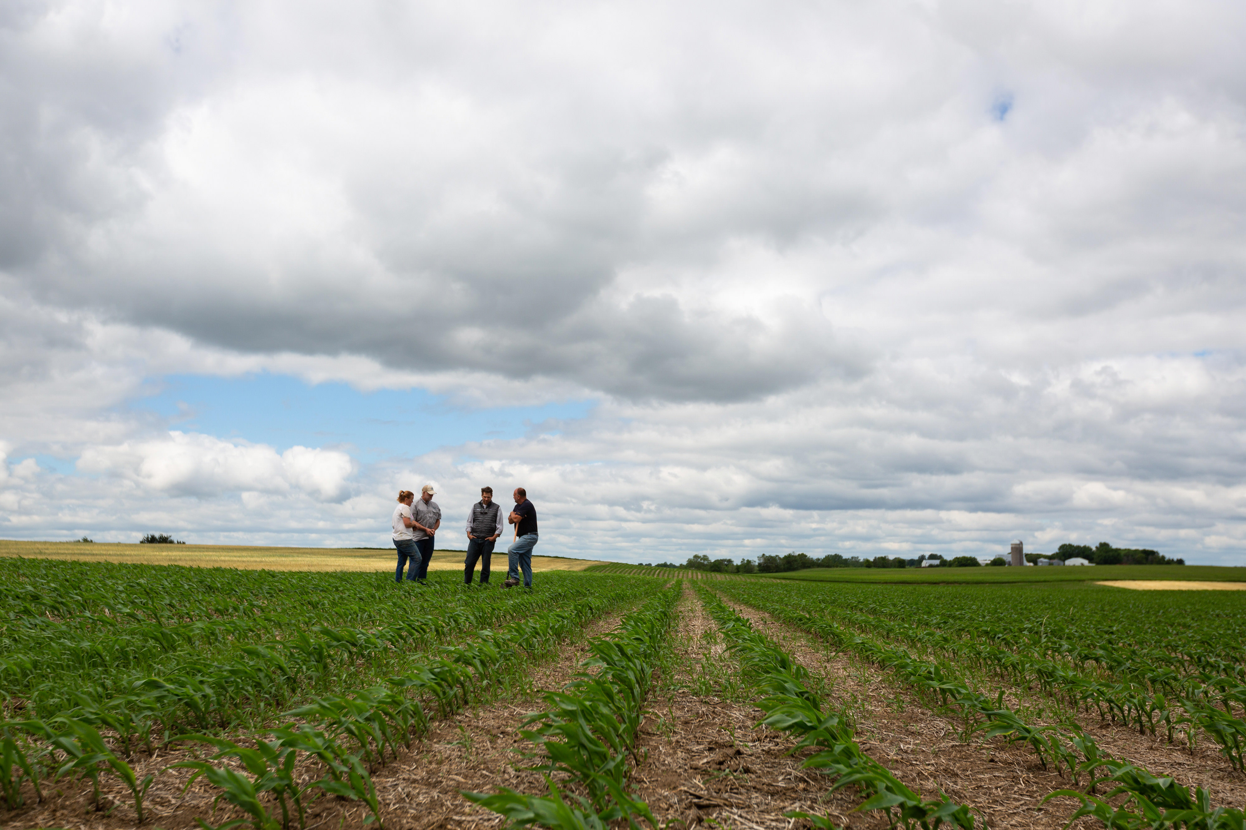 People standing in a field of row crops.