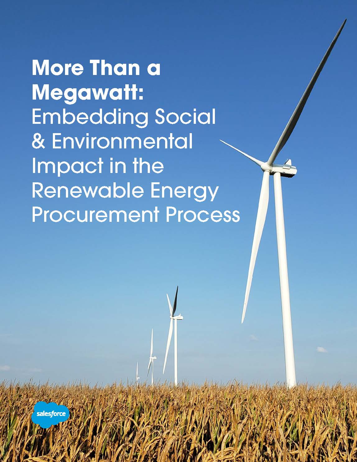 Embedding Social & Environmental Impact in the Renewable Energy Procurement Process