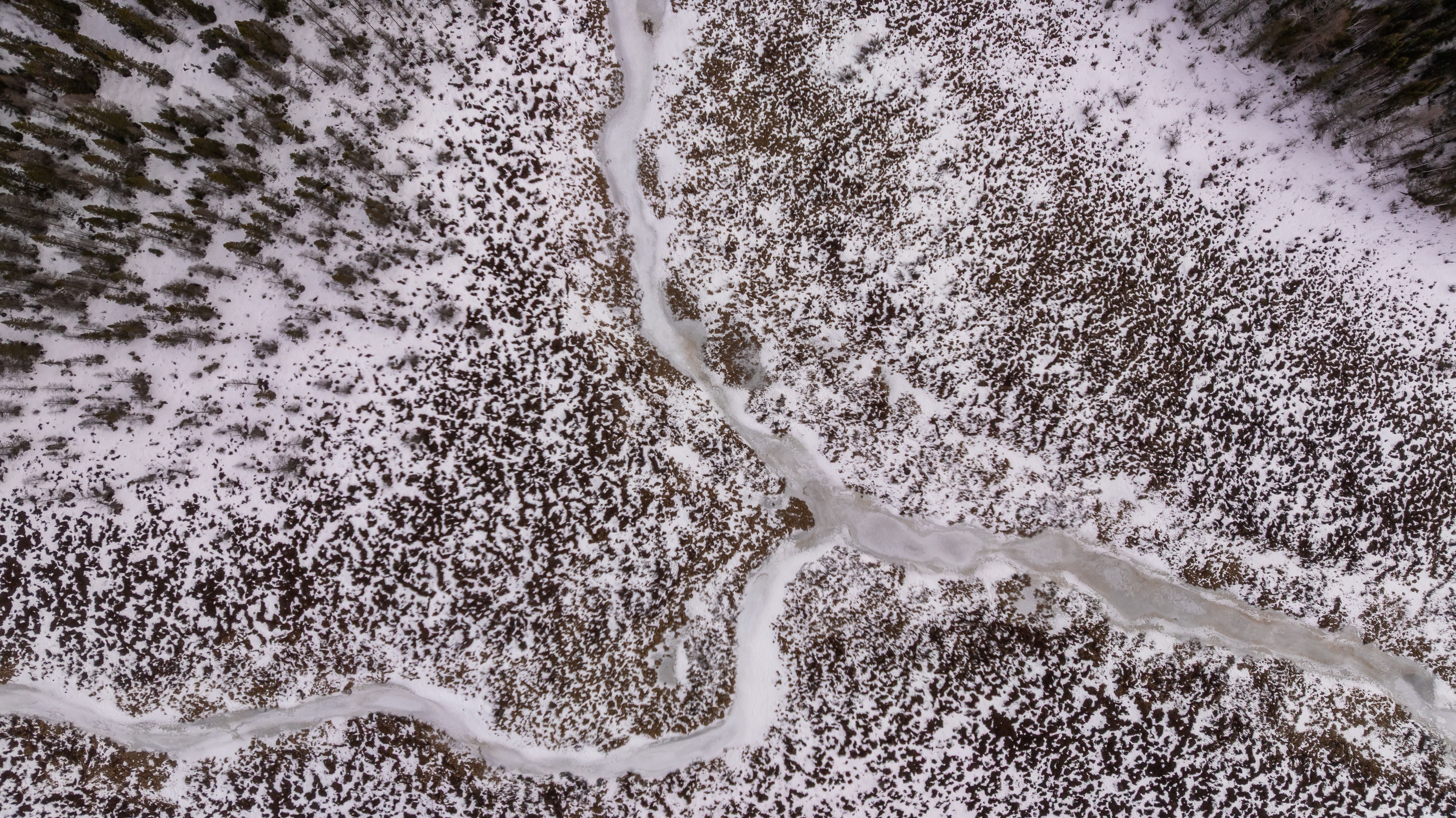 Aerial view of a snowy forest landscape.
