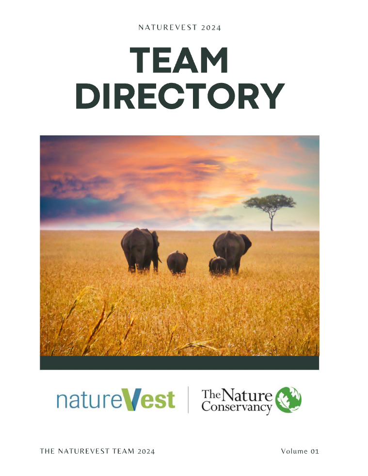 Elephant family heading toward the sunset.