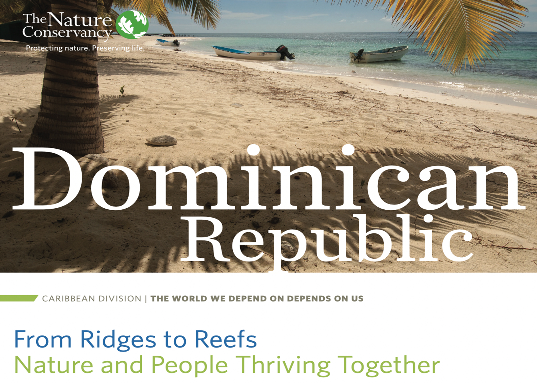 Thumbnail of the cover of the D.R. Factsheet. 