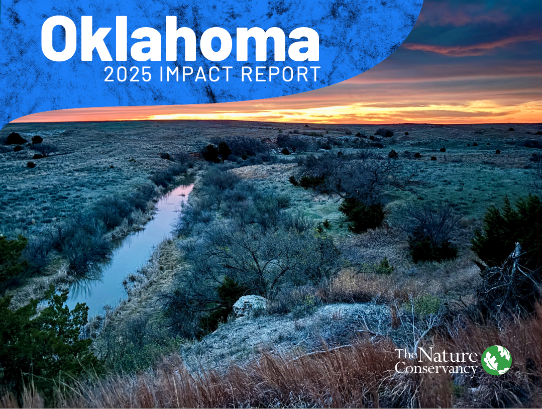 Oklahoma Impact Report Cover Image.