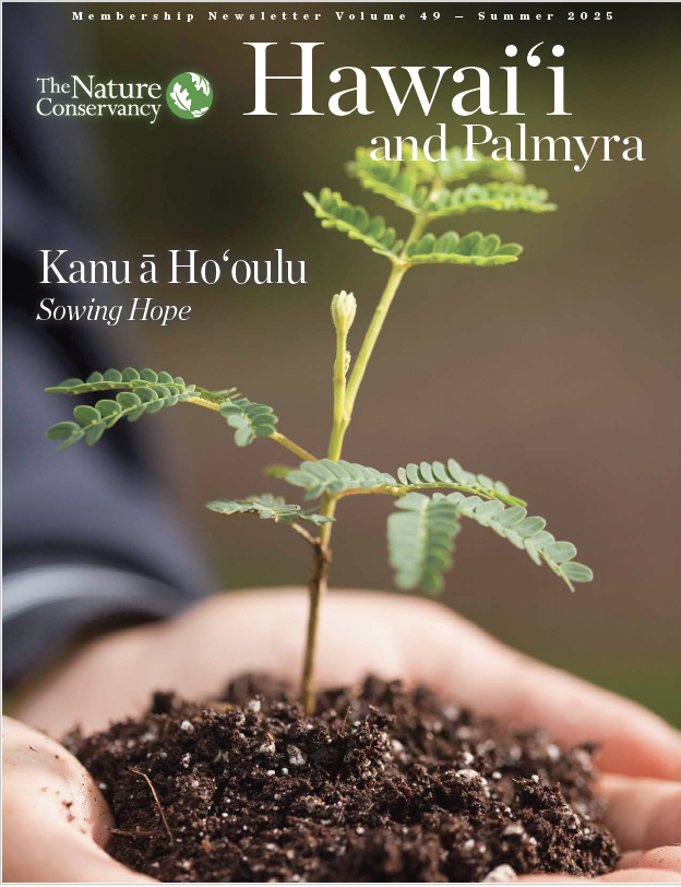 Thumbnail for Summer 2025 Newsletter.