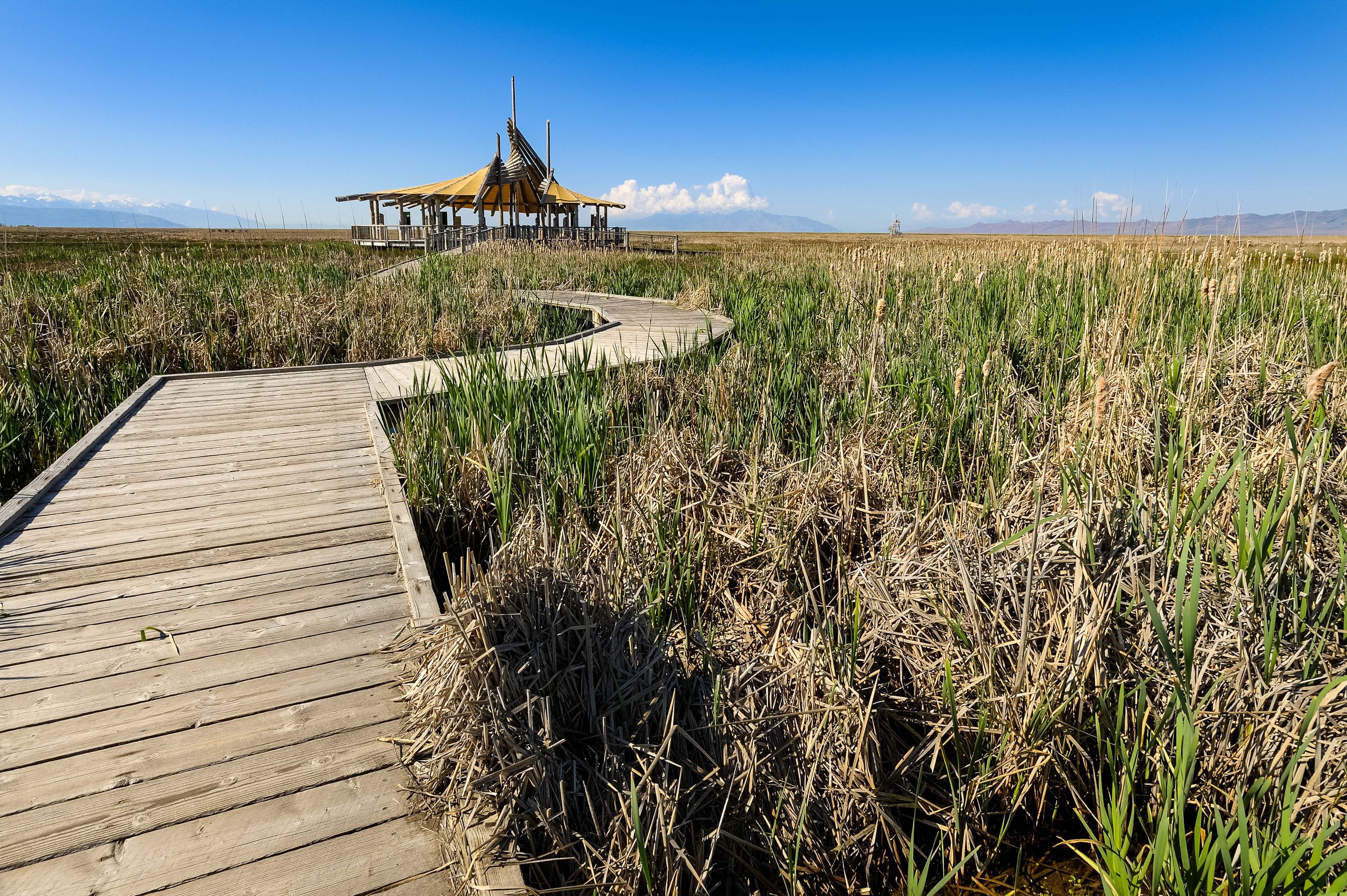A wooden boardwalk extends into a wide, flat grassy area and leads to a wooden observation deck.