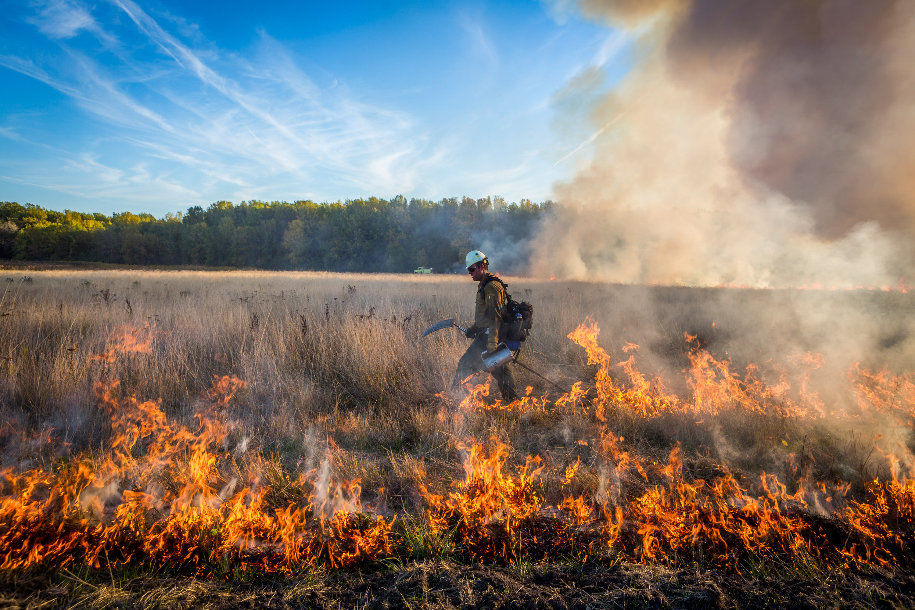 Lighting fire with a drip torch.