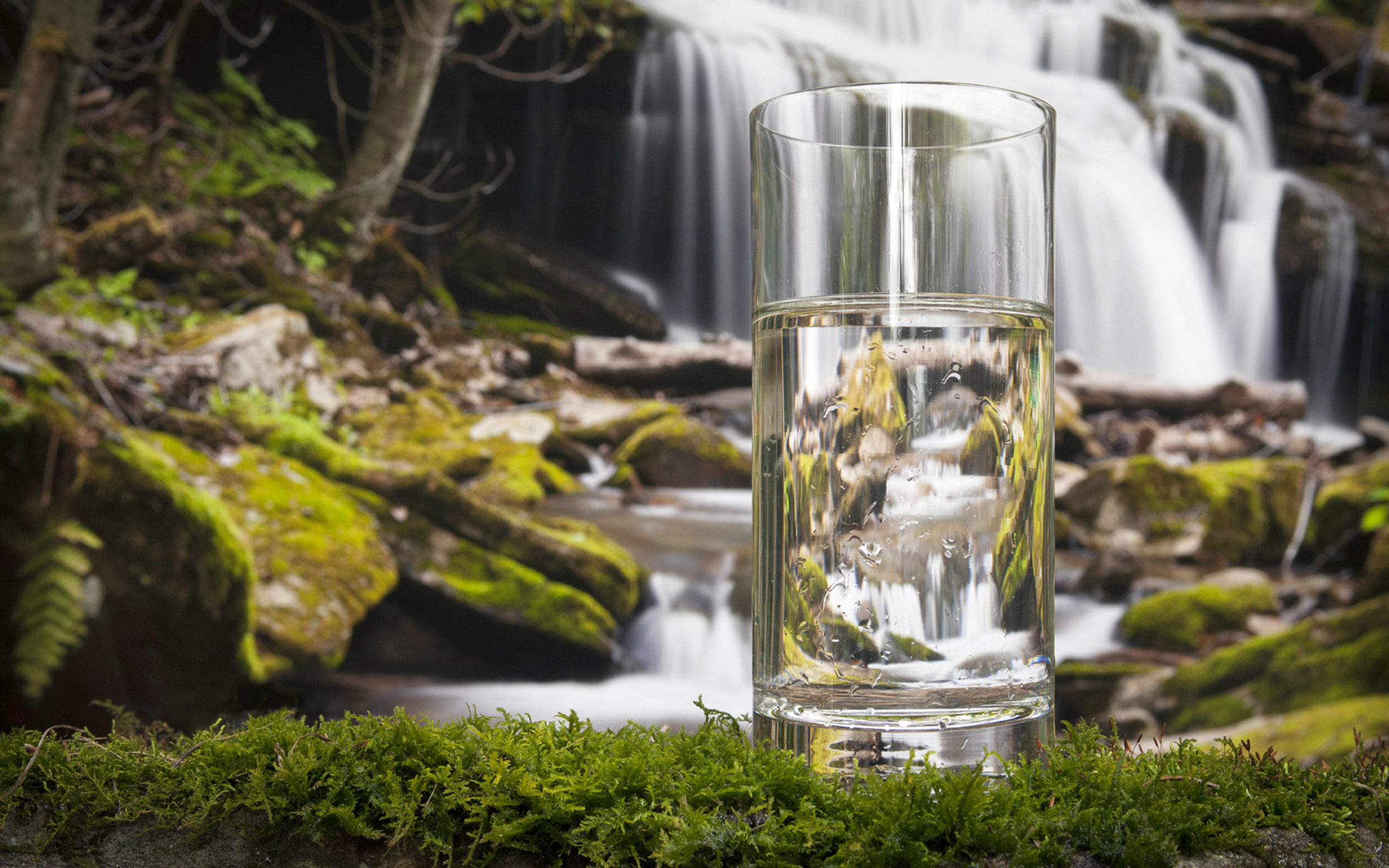 A glass of water positioned on a mossy ledge with a waterfall and mossy boulders in the background.