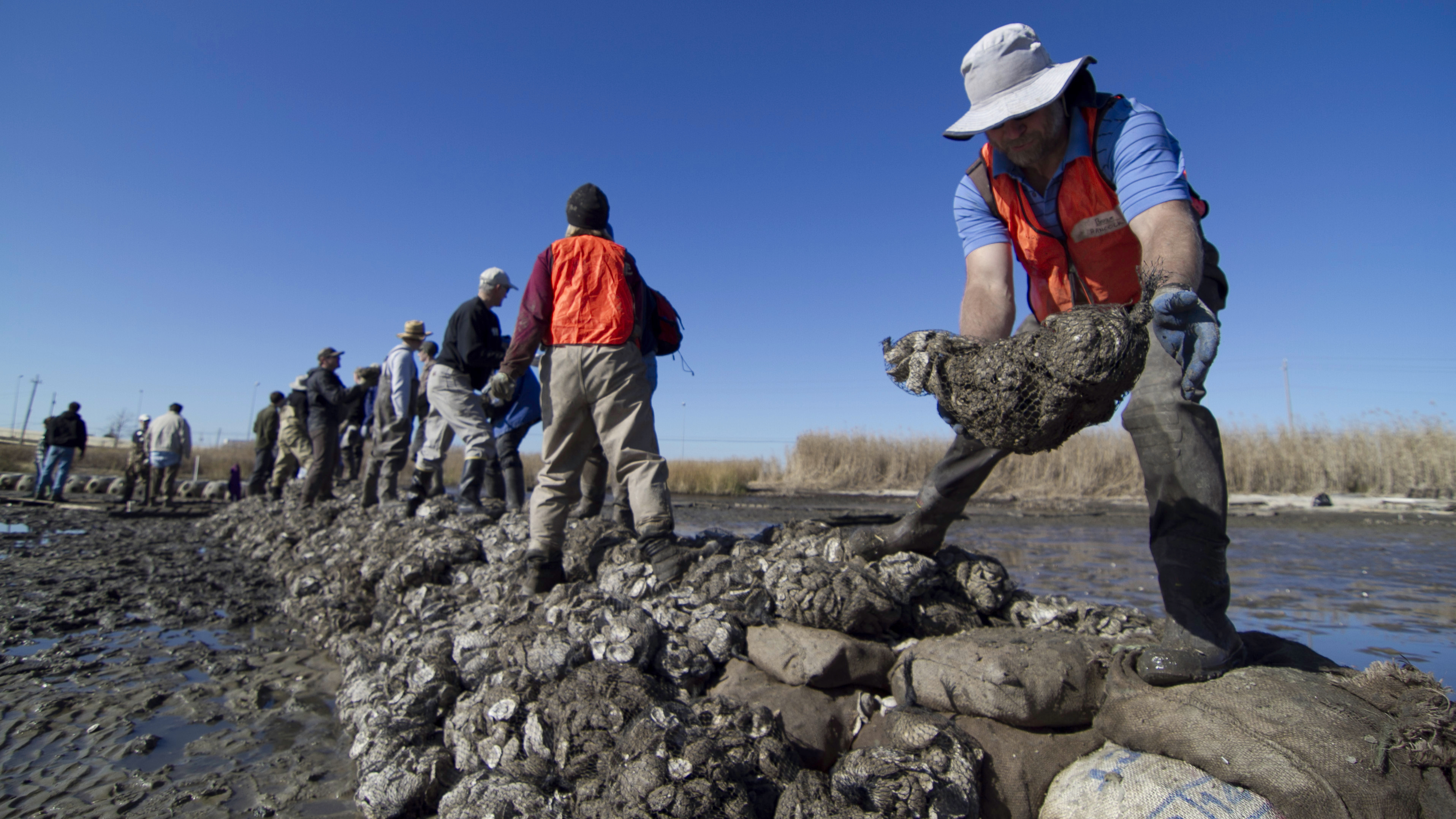 A man drops a bag of oyster shells on a pile of bags.
