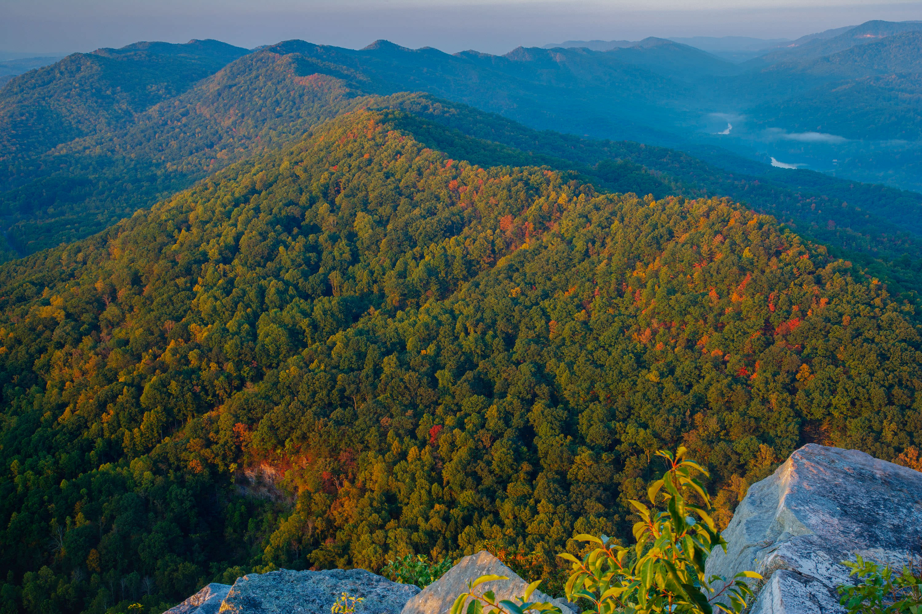 Aerial view of dense forested mountains in autumn colors.