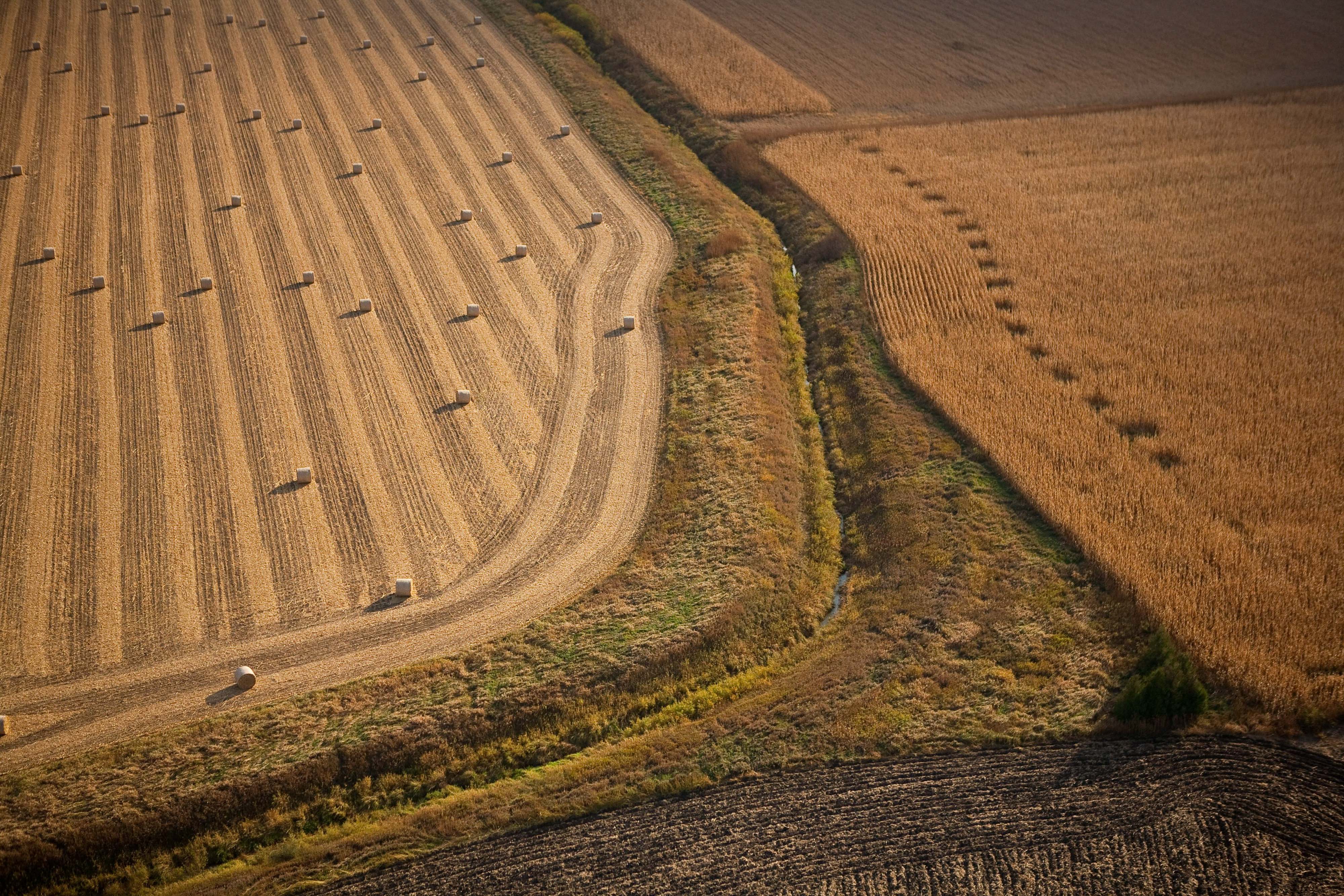 Aerial view of two-stage ditch.
