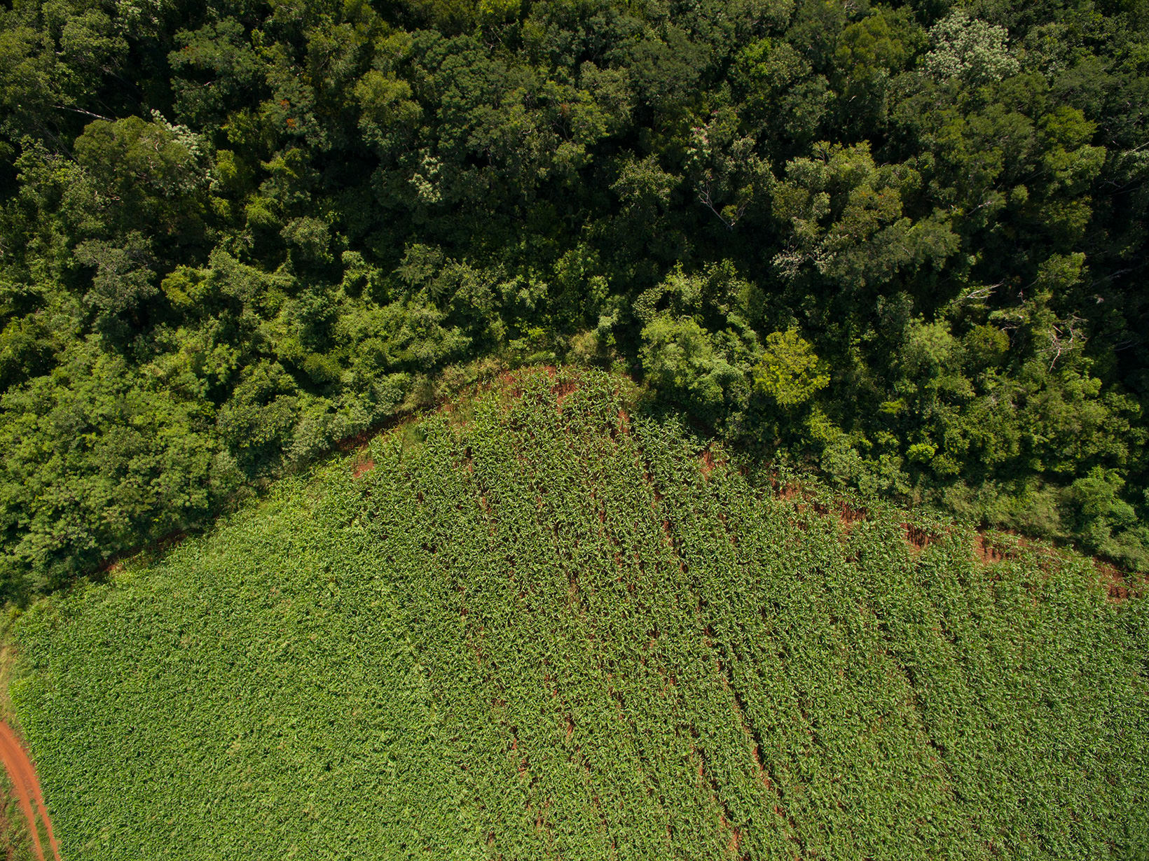 Vista aerea de un rio en medio de la naturaleza.