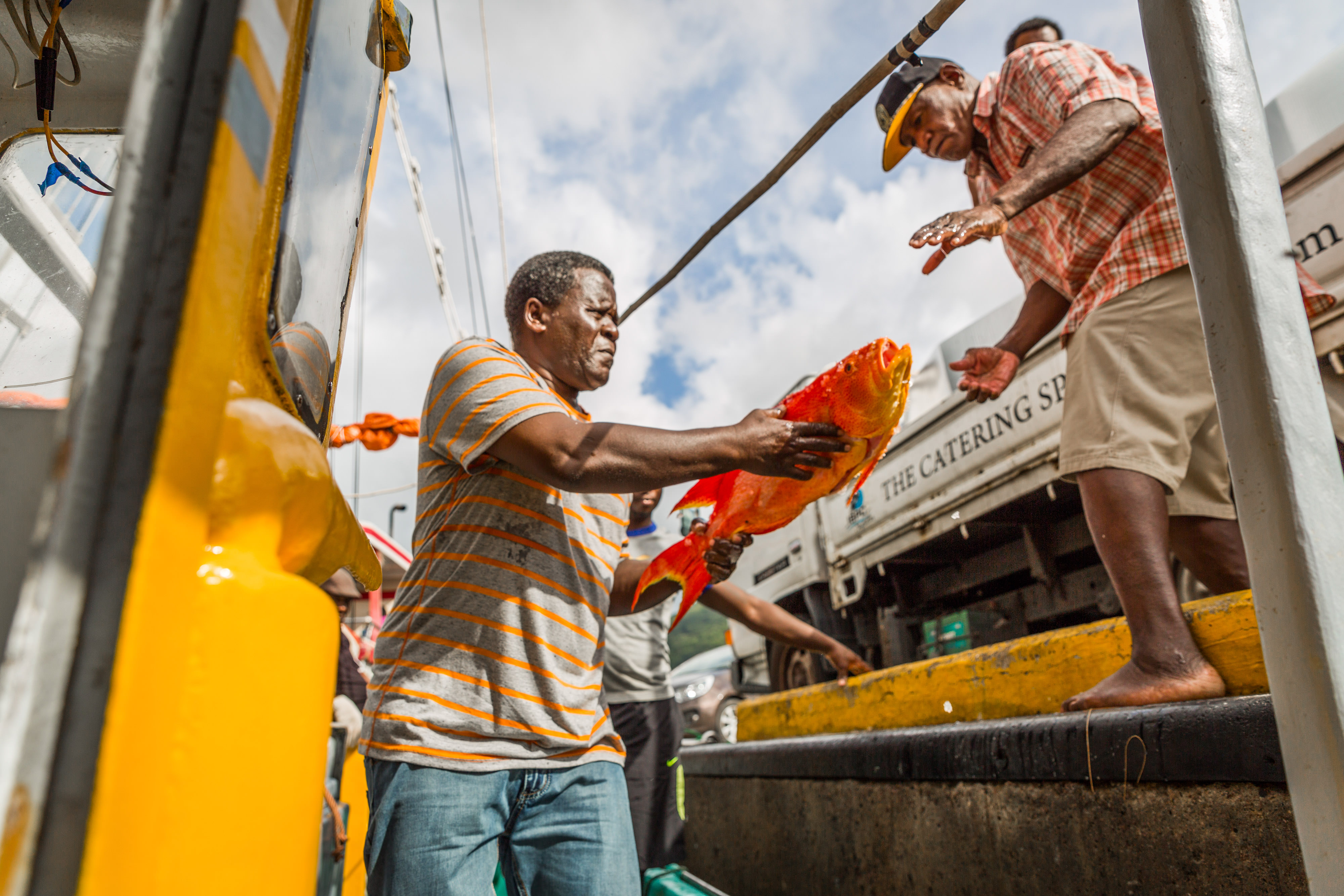 Fishers unload fish from the Felicite, Seychelles.