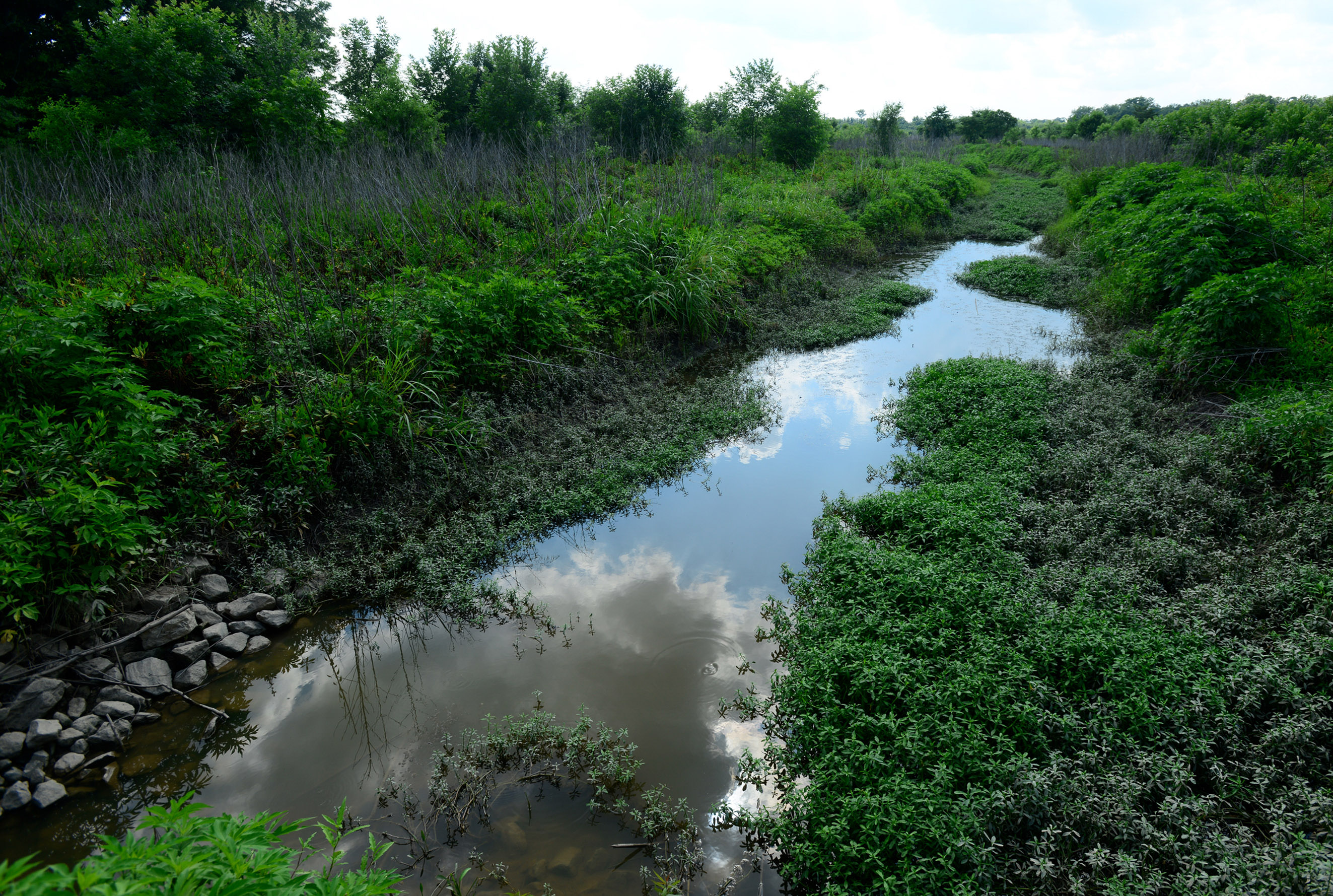 Stream running through vegetated banks.