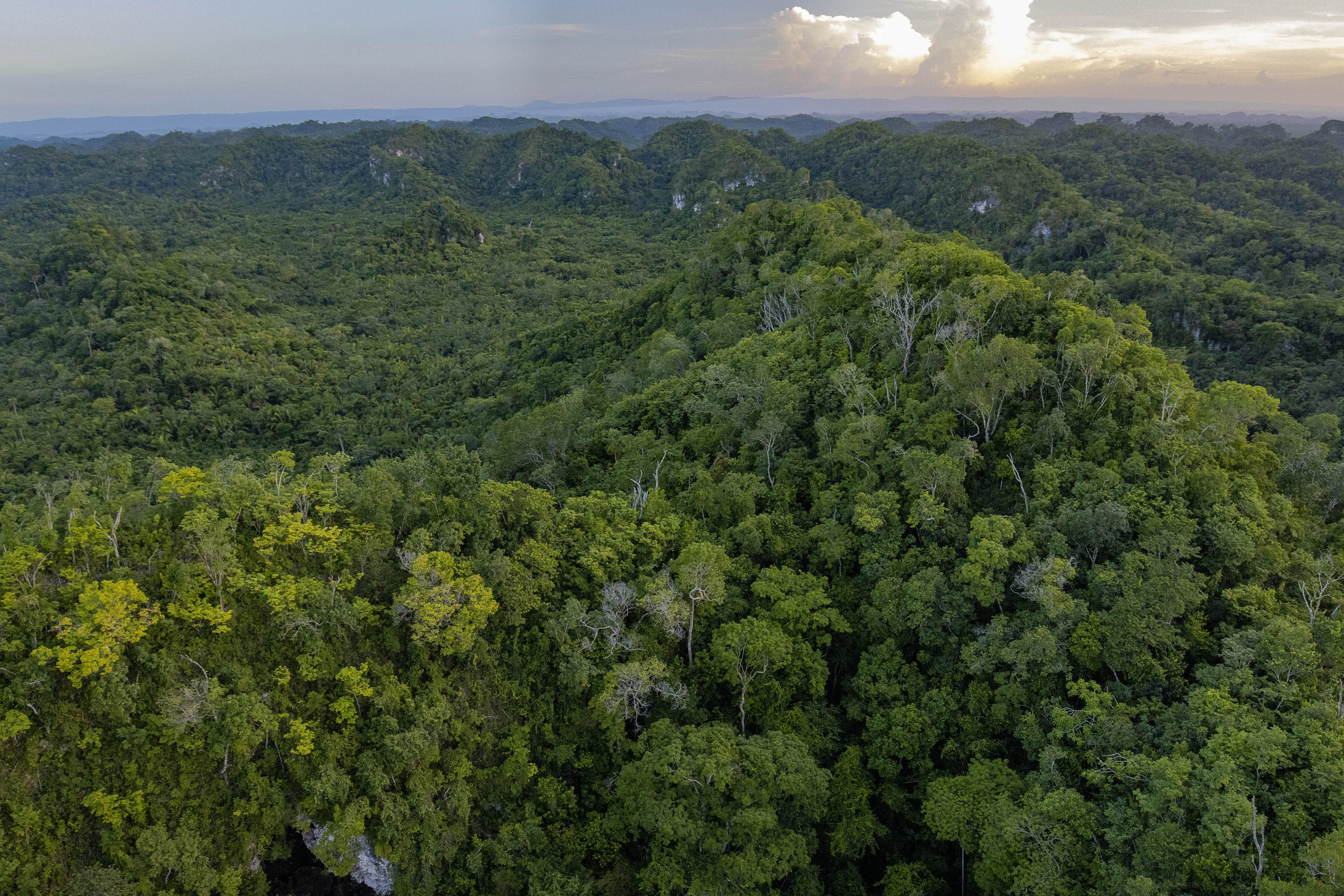 Aerial view of Maya Forest, across mountains.