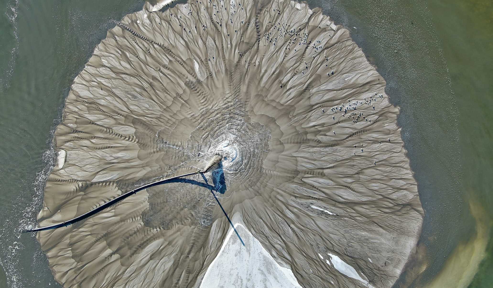 Sea birds congregate on a small, sandy island.