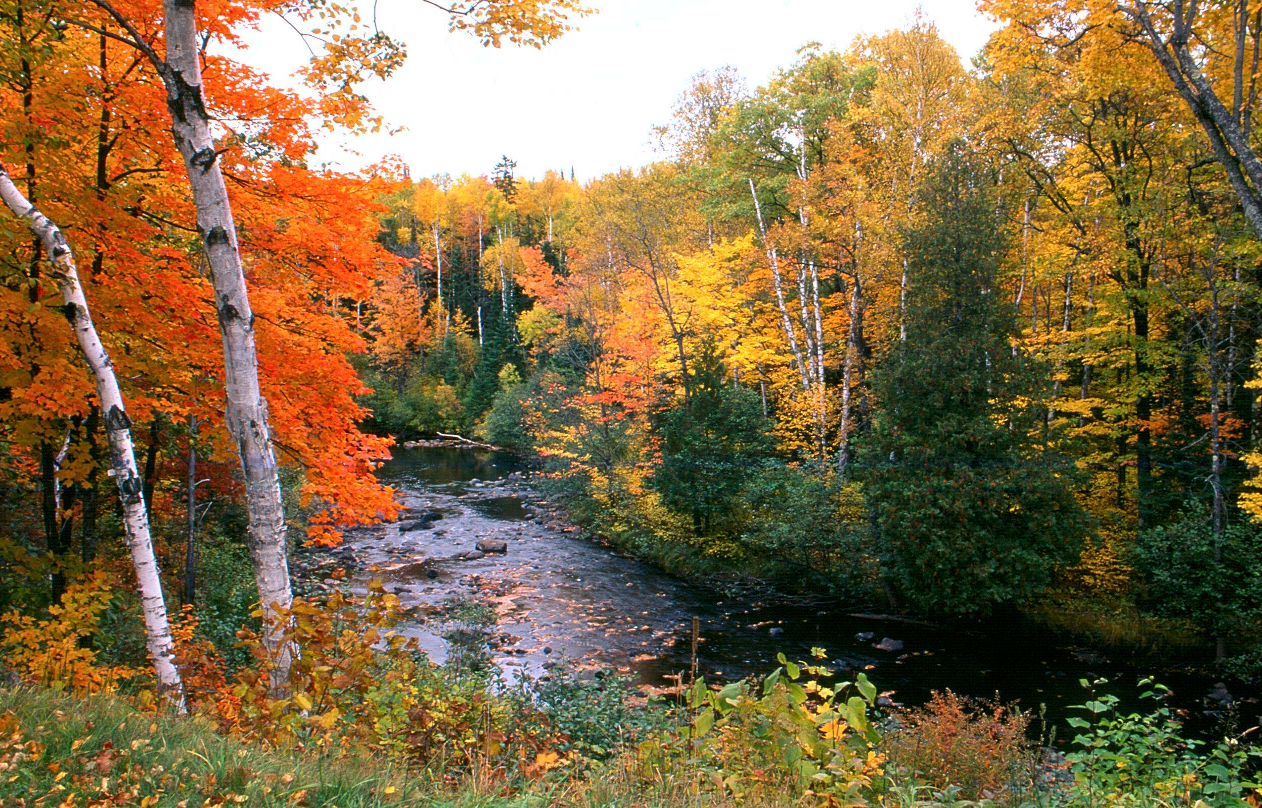 The Flambeau river in northern Wisconsin in fall. 
