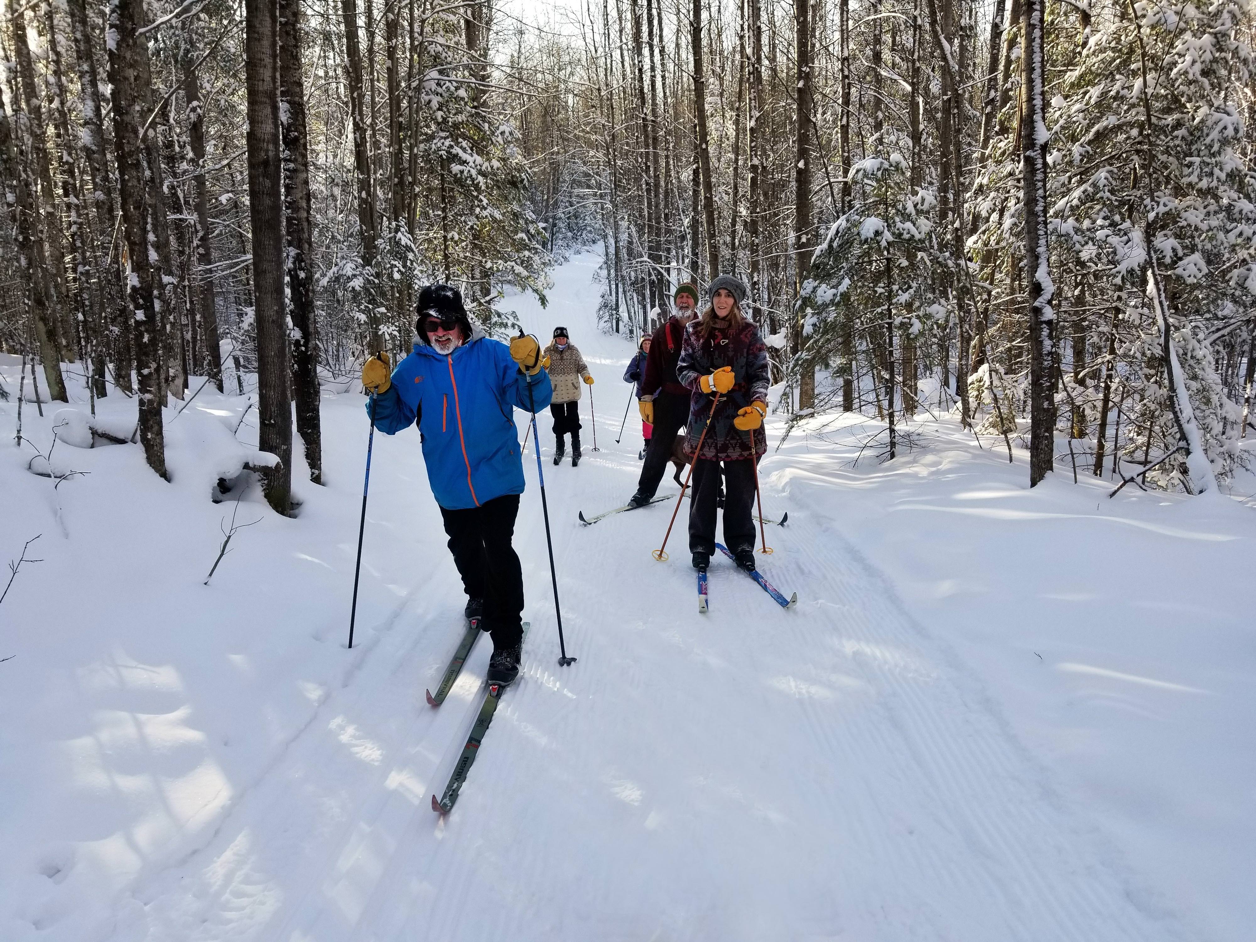 A group of people explore a snowy trail on skis.