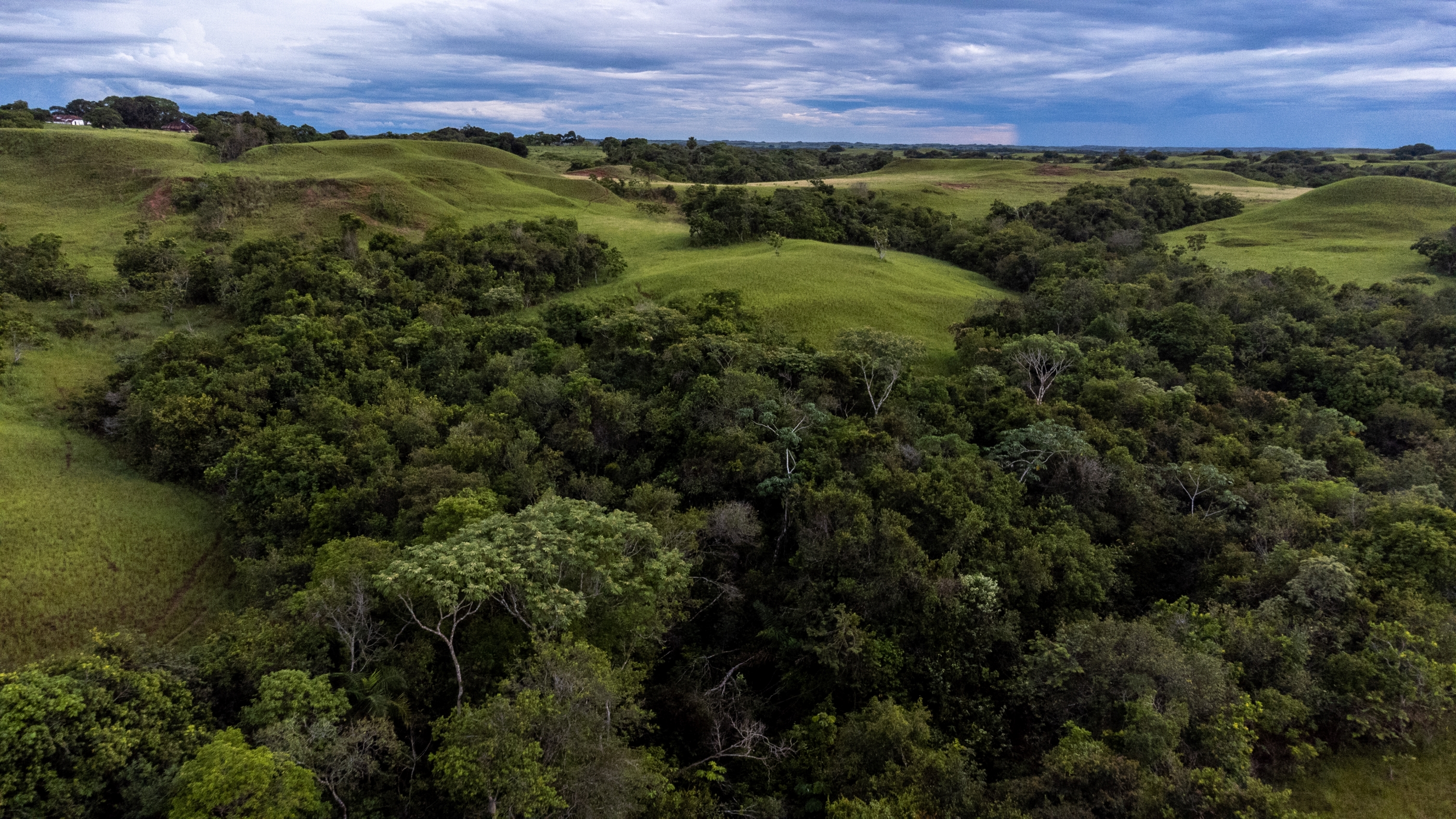 The tropical savannas of Manacacías and Orinoquia provide an important link between
the Andes and the Amazon.